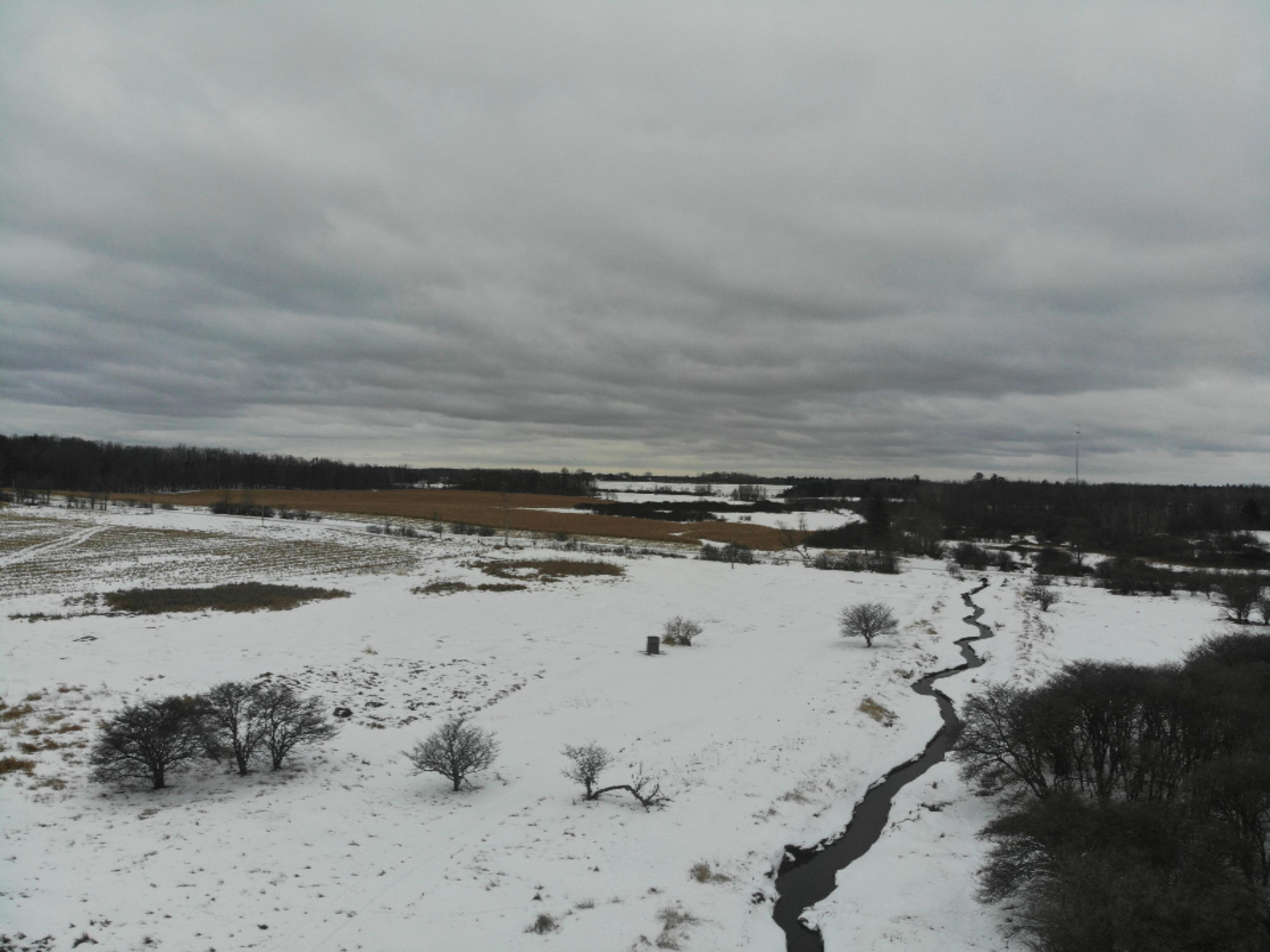19 Mile Road Marion, MI 49665 - Photo 27 of 31 DJI_0386