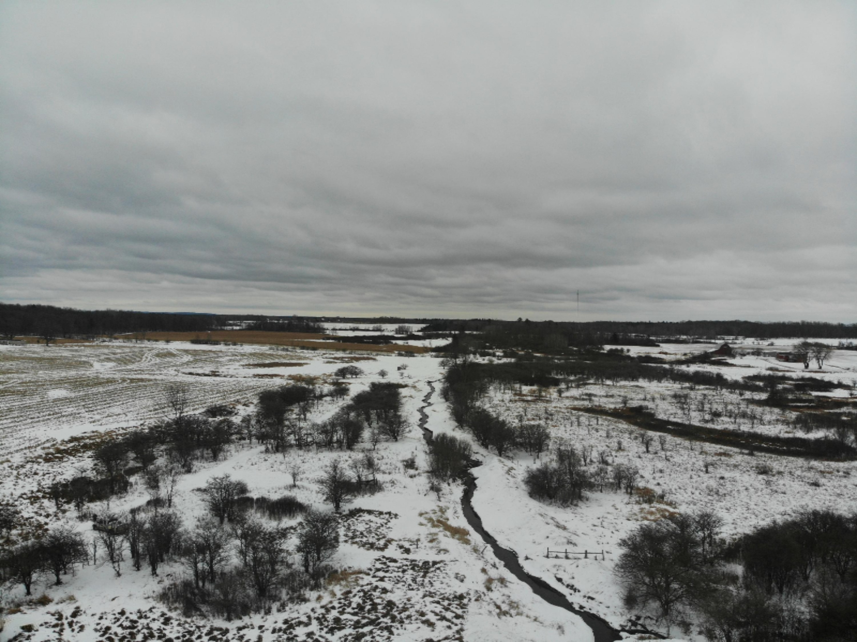 19 Mile Road Marion, MI 49665 - Photo 31 of 31 DJI_0375
