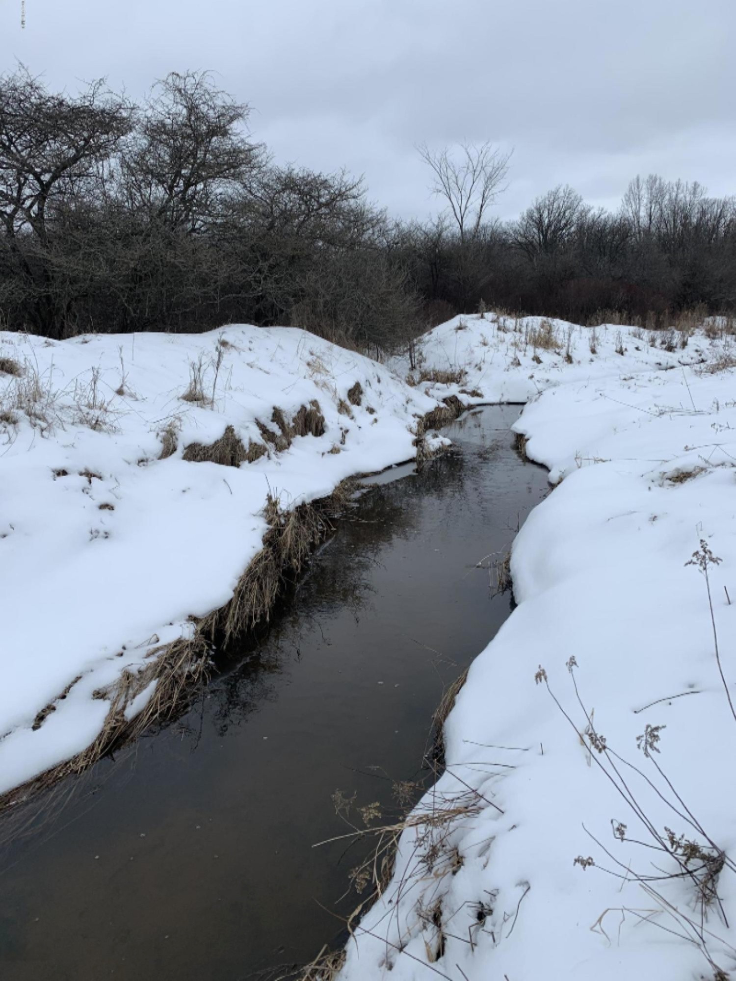 19 Mile Road Marion, MI 49665 - Photo 6 of 31 IMG_0557