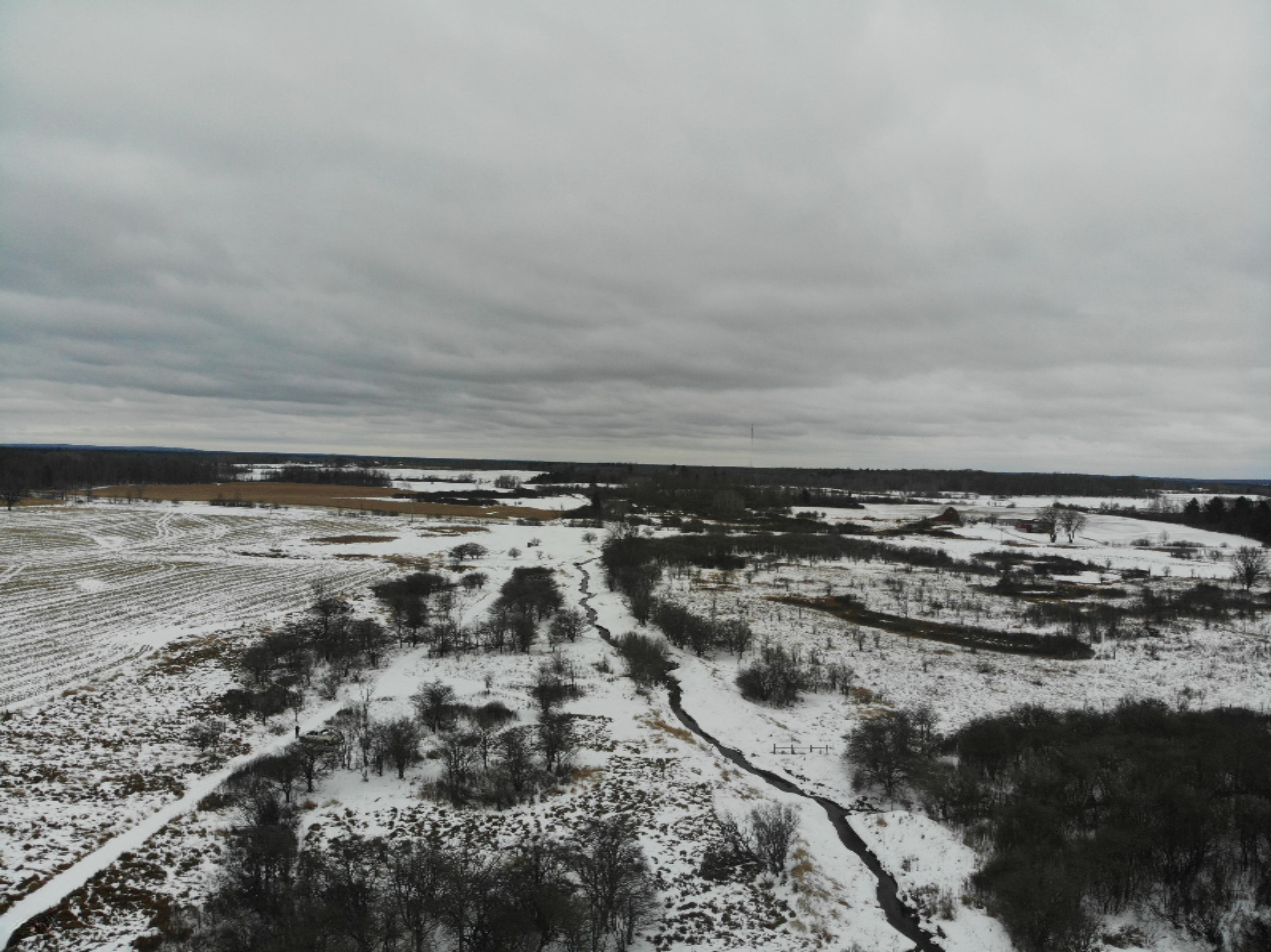 19 Mile Road Marion, MI 49665 - Photo 9 of 31 DJI_0374