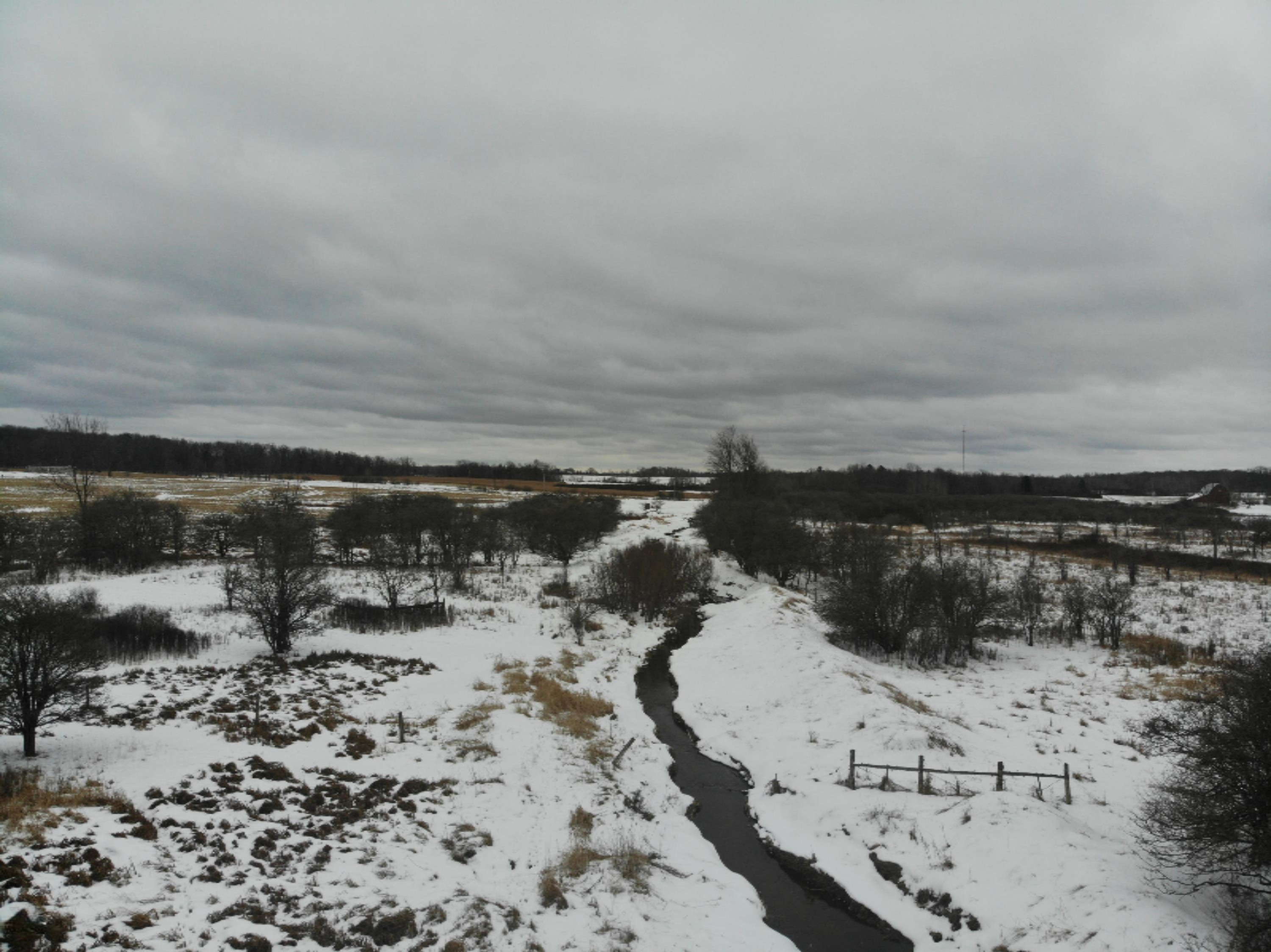 19 Mile Road Marion, MI 49665 - Photo 10 of 31 DJI_0383