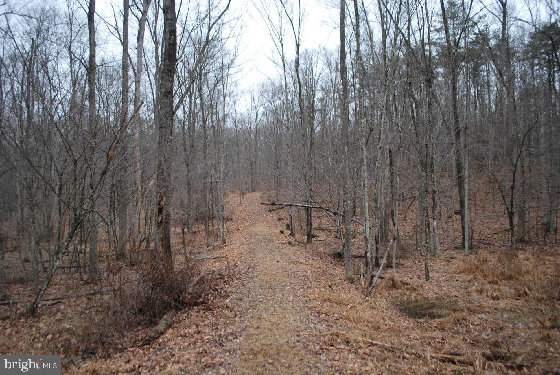 13-6 Blue Brook Road Berkeley Springs, WV 25411 - Photo 2 of 53 25 acres to hunt, fish, camp, build ?