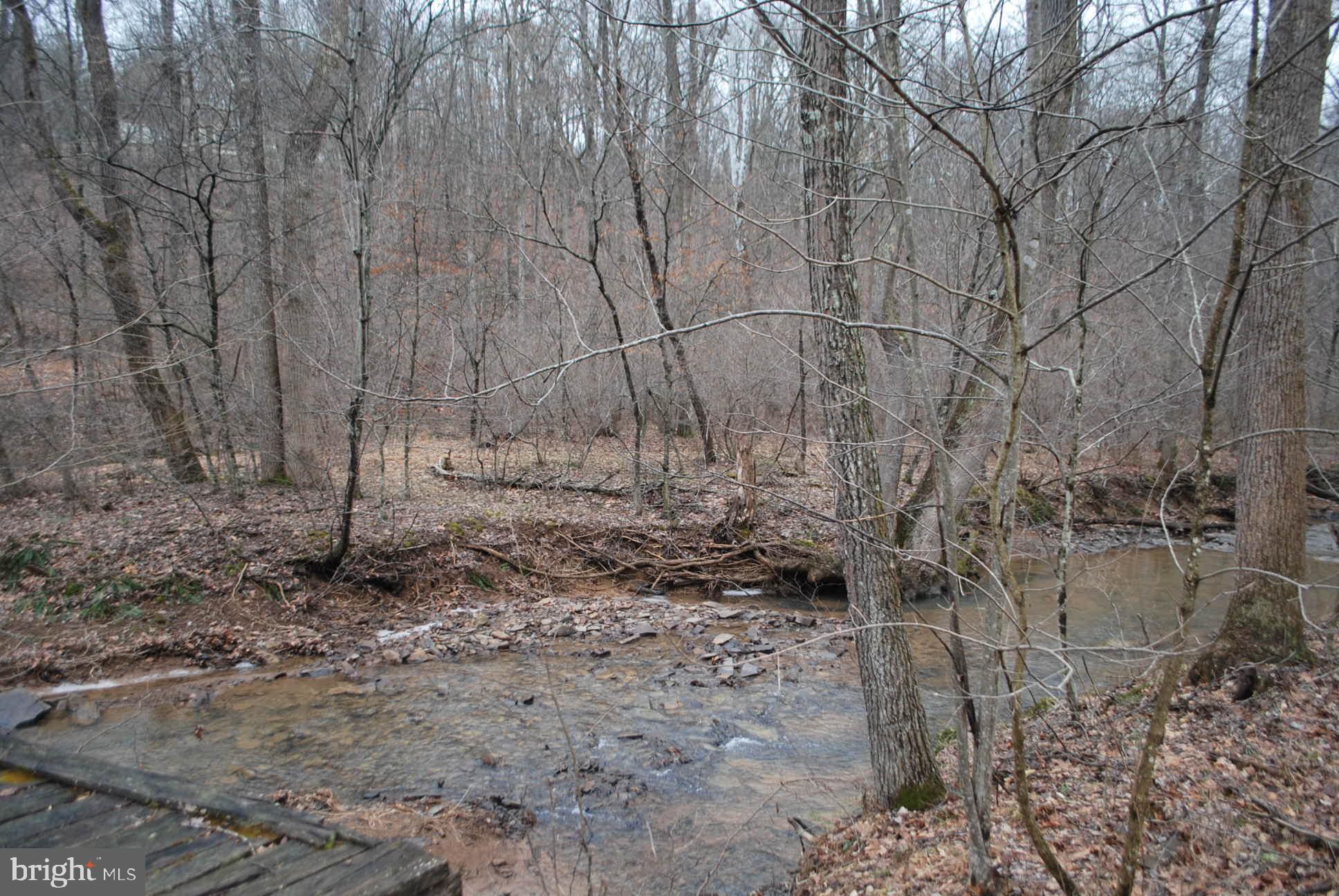 13-6 Blue Brook Road Berkeley Springs, WV 25411 - Photo 11 of 53 25 acres of timber and hills, and gorgeous land