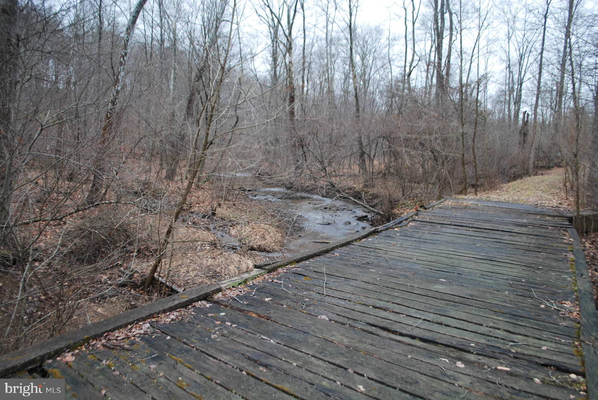 13-6 Blue Brook Road Berkeley Springs, WV 25411 - Photo 12 of 53 more pics of creek & bridge