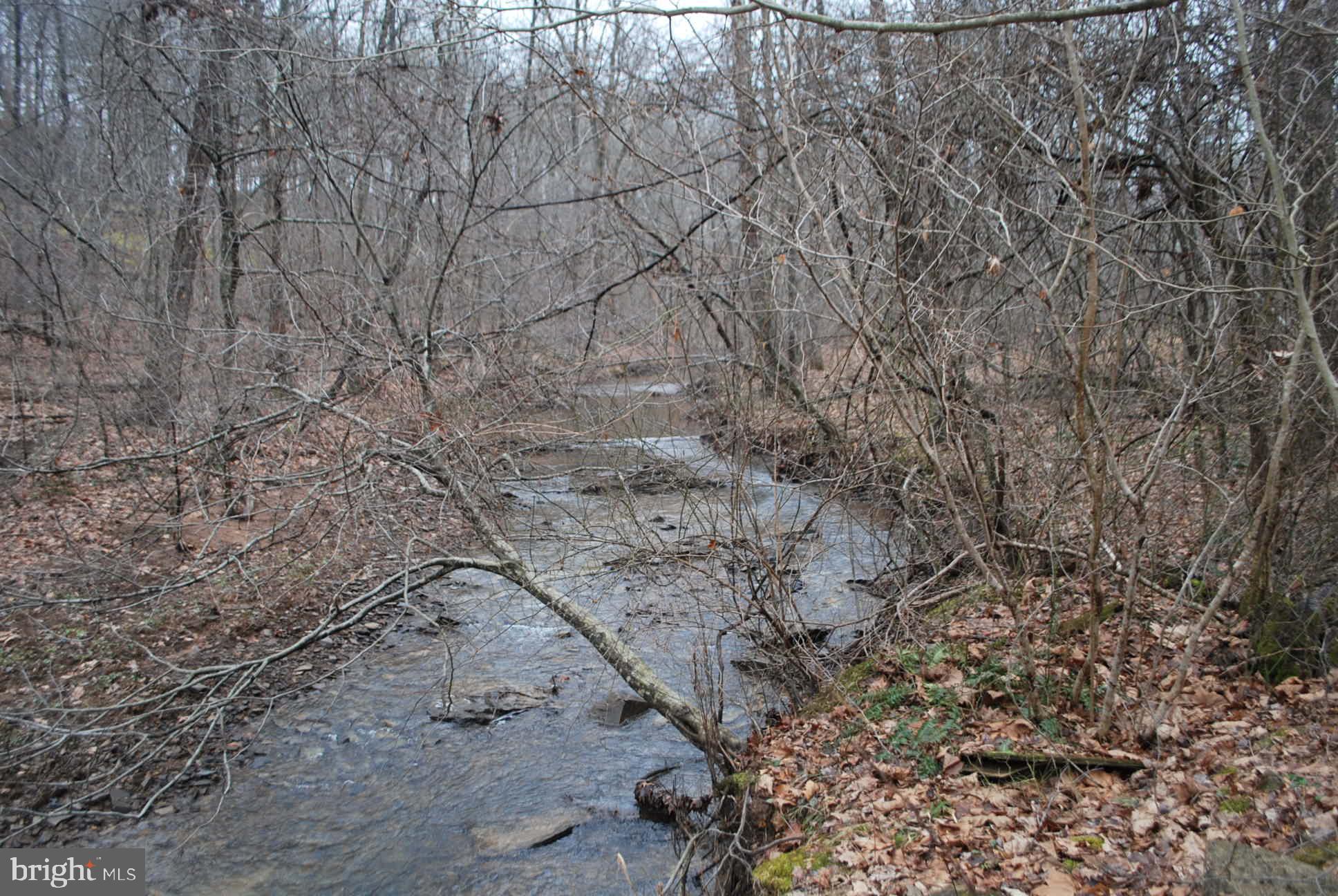 13-6 Blue Brook Road Berkeley Springs, WV 25411 - Photo 17 of 53 Middle Fork of Sleeping Creek running through