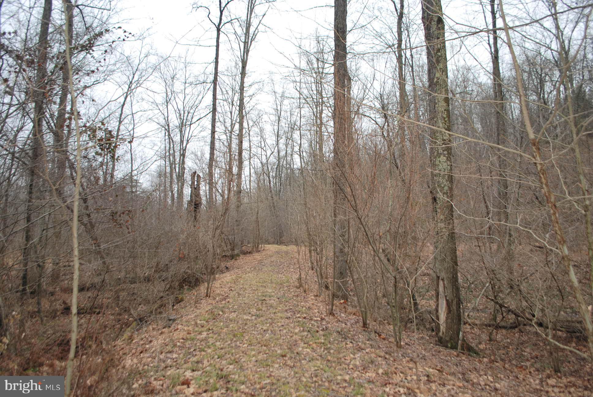 13-6 Blue Brook Road Berkeley Springs, WV 25411 - Photo 19 of 53 Cleared trail to walk the property