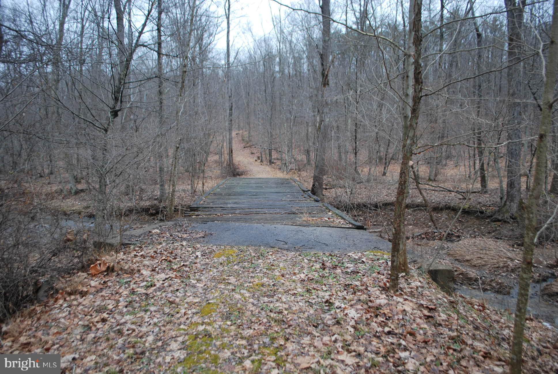 13-6 Blue Brook Road Berkeley Springs, WV 25411 - Photo 3 of 53 So many opportunities