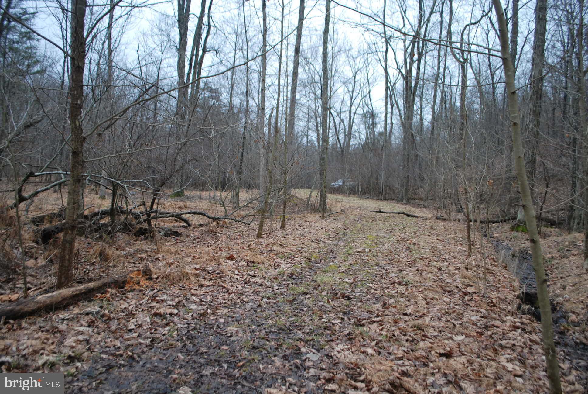 13-6 Blue Brook Road Berkeley Springs, WV 25411 - Photo 21 of 53 Trail