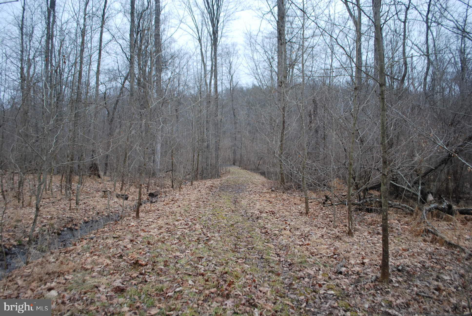 13-6 Blue Brook Road Berkeley Springs, WV 25411 - Photo 22 of 53 Plenty of level land to build