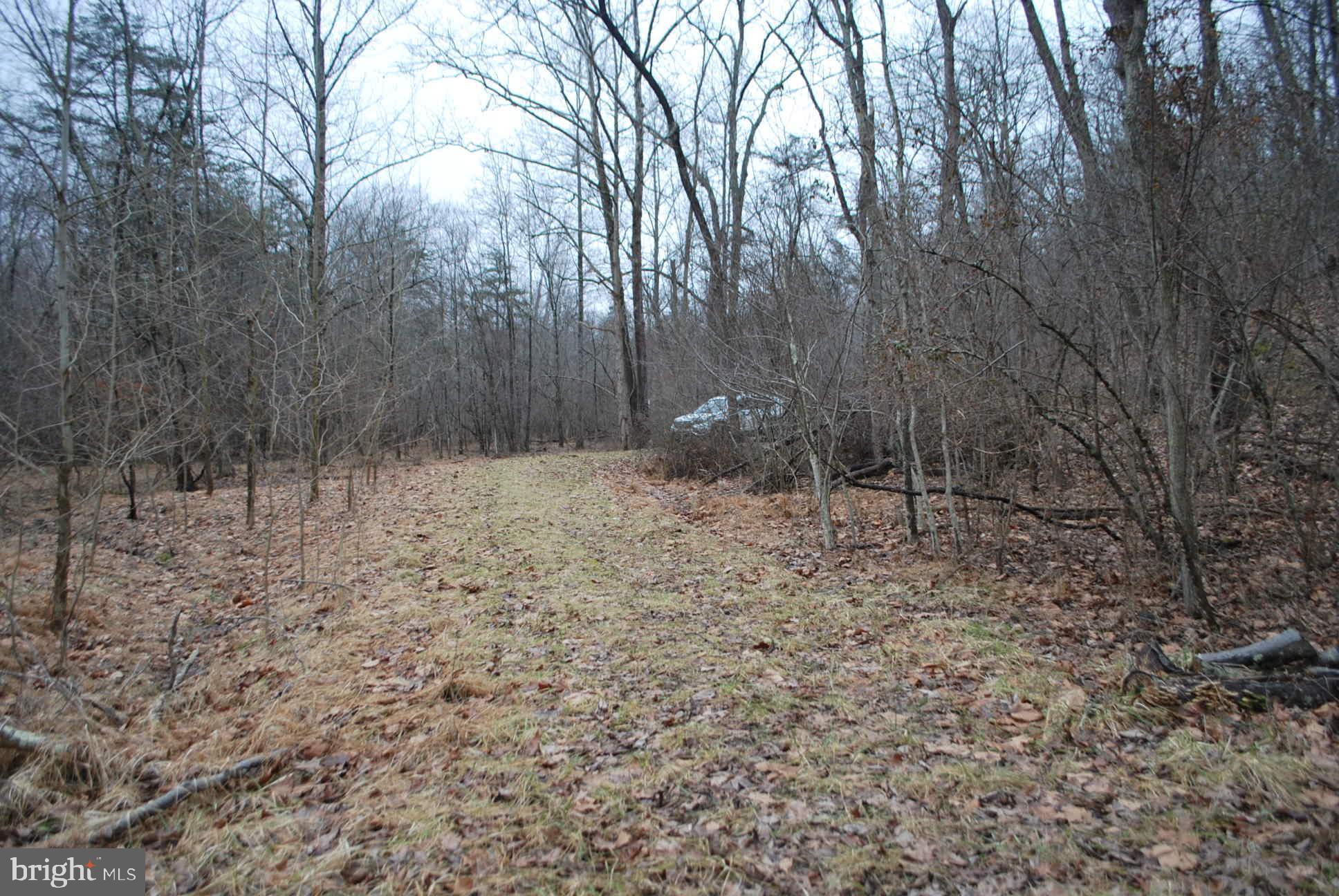 13-6 Blue Brook Road Berkeley Springs, WV 25411 - Photo 23 of 53 Think about riding your ATV's here !