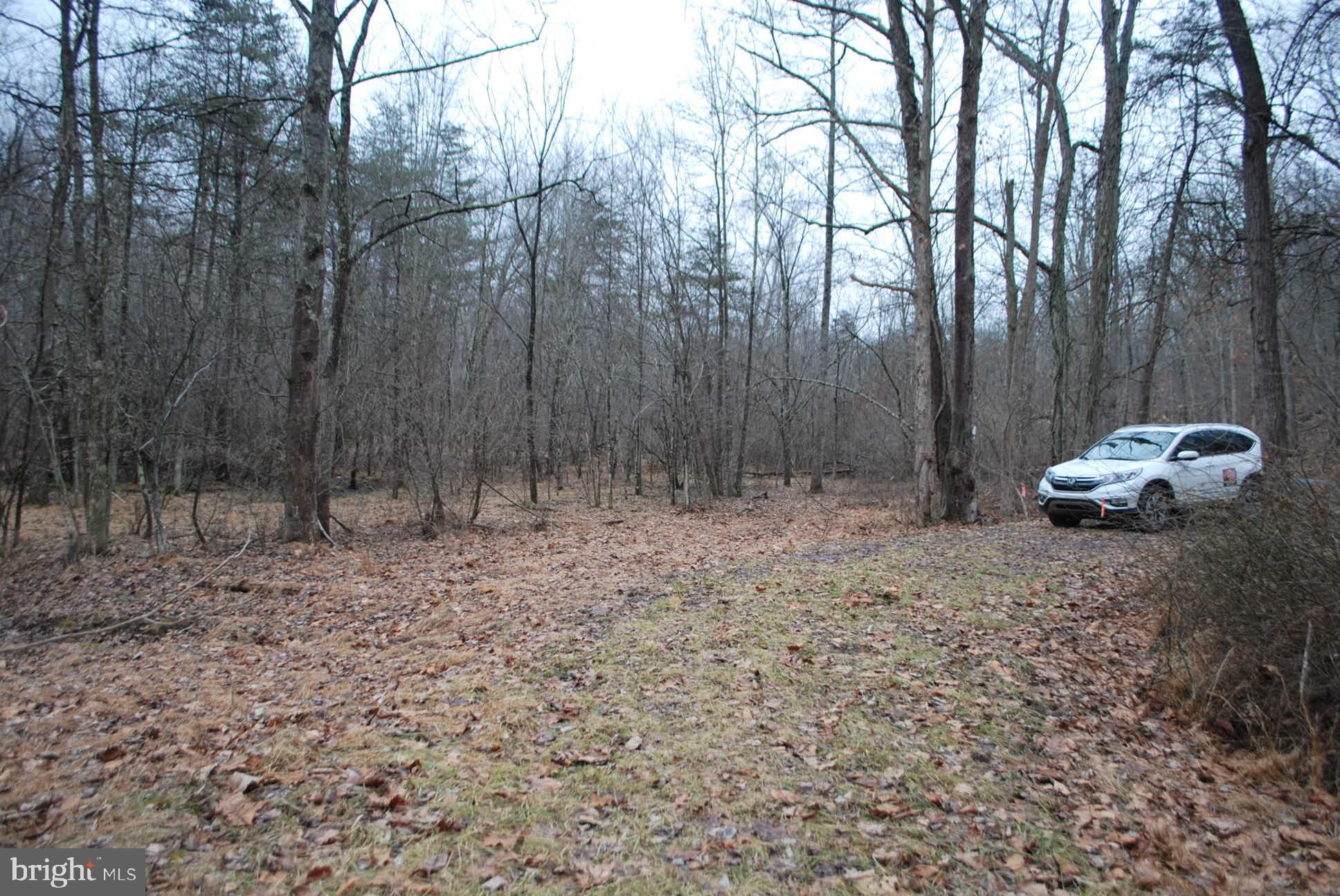 13-6 Blue Brook Road Berkeley Springs, WV 25411 - Photo 24 of 53 Walking back to where you park to view land