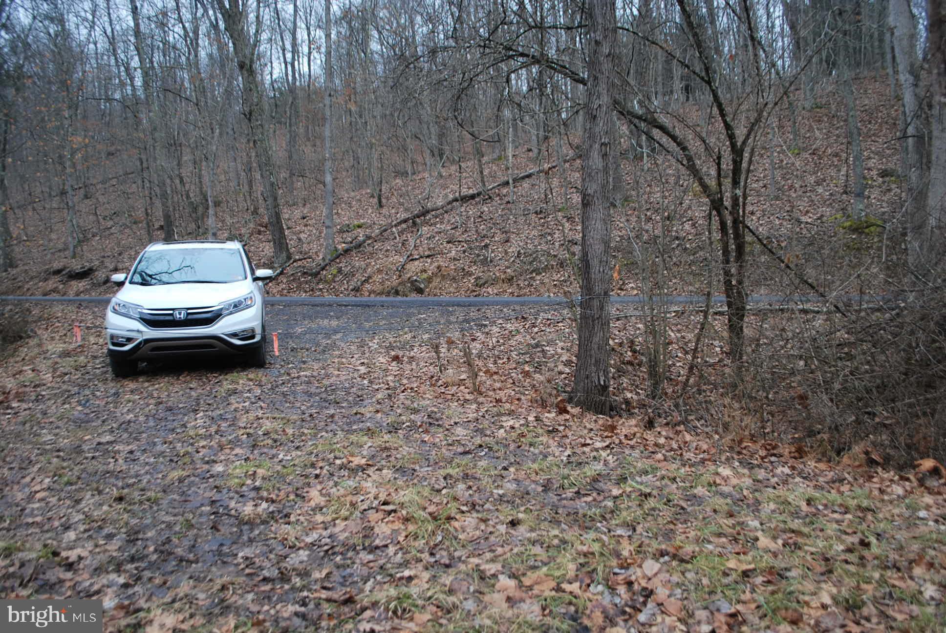 13-6 Blue Brook Road Berkeley Springs, WV 25411 - Photo 25 of 53 Car parked on the land on Deerwood lane