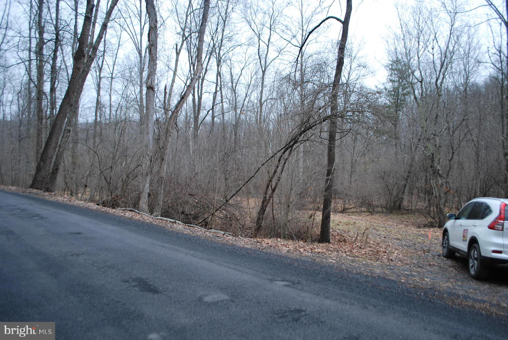 13-6 Blue Brook Road Berkeley Springs, WV 25411 - Photo 28 of 53 Parking to view