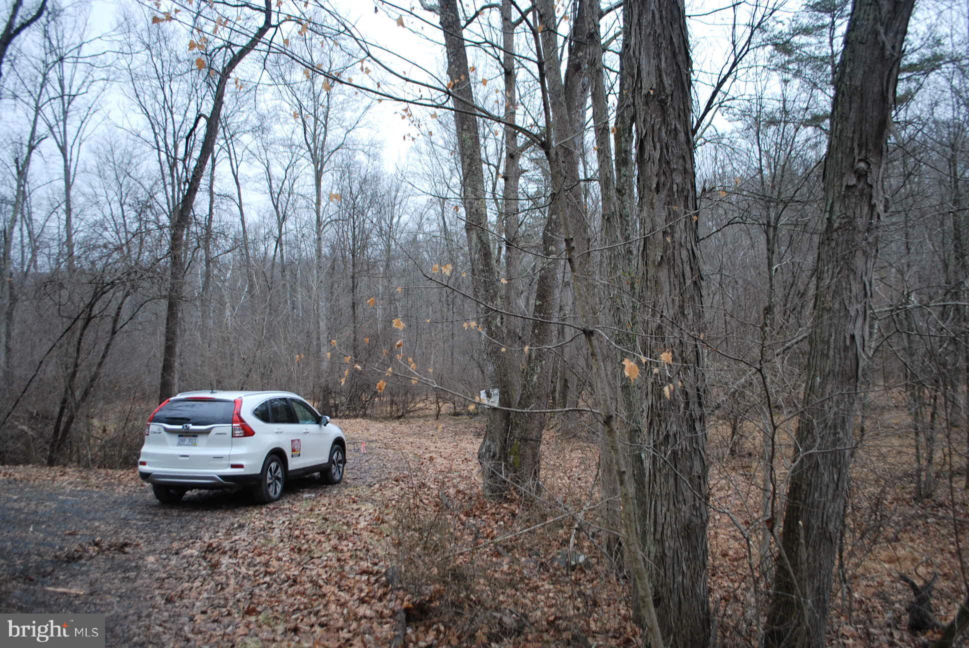 13-6 Blue Brook Road Berkeley Springs, WV 25411 - Photo 29 of 53 Space to park and walk