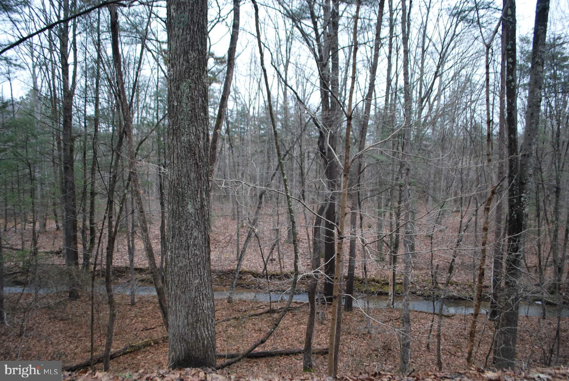 13-6 Blue Brook Road Berkeley Springs, WV 25411 - Photo 30 of 53 View of land