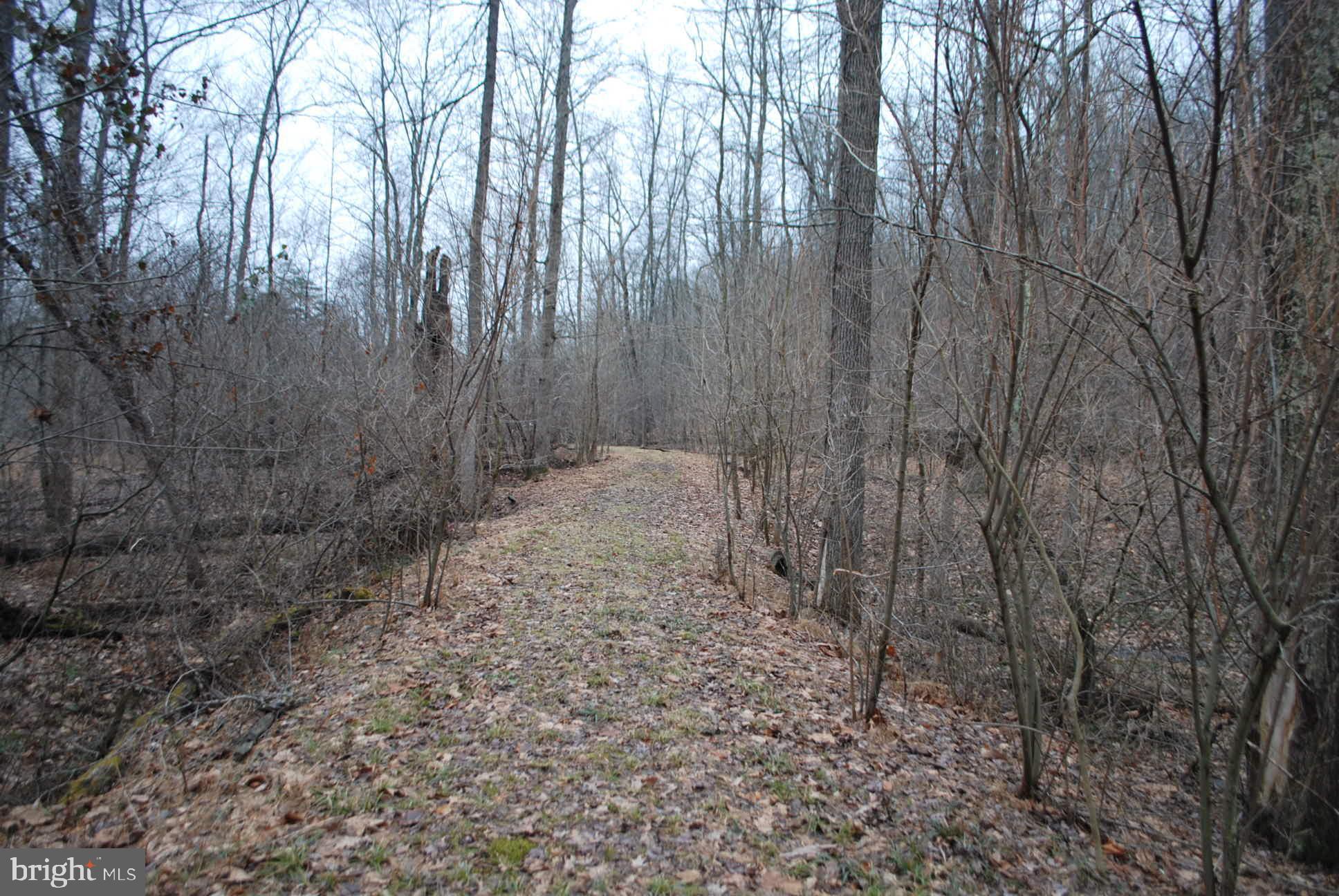 13-6 Blue Brook Road Berkeley Springs, WV 25411 - Photo 31 of 53 More trails