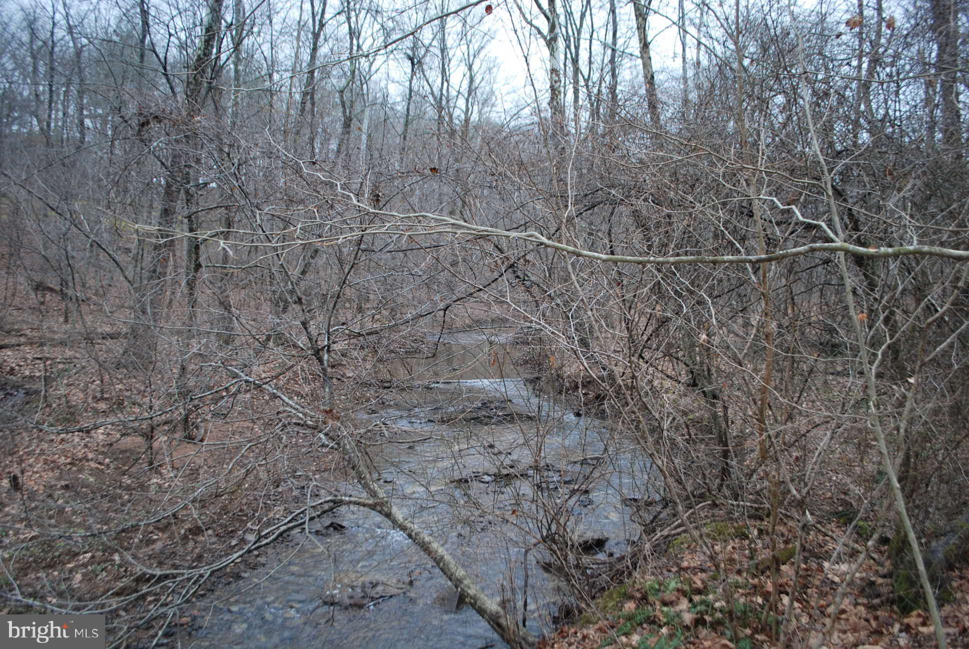 13-6 Blue Brook Road Berkeley Springs, WV 25411 - Photo 32 of 53 Very peaceful