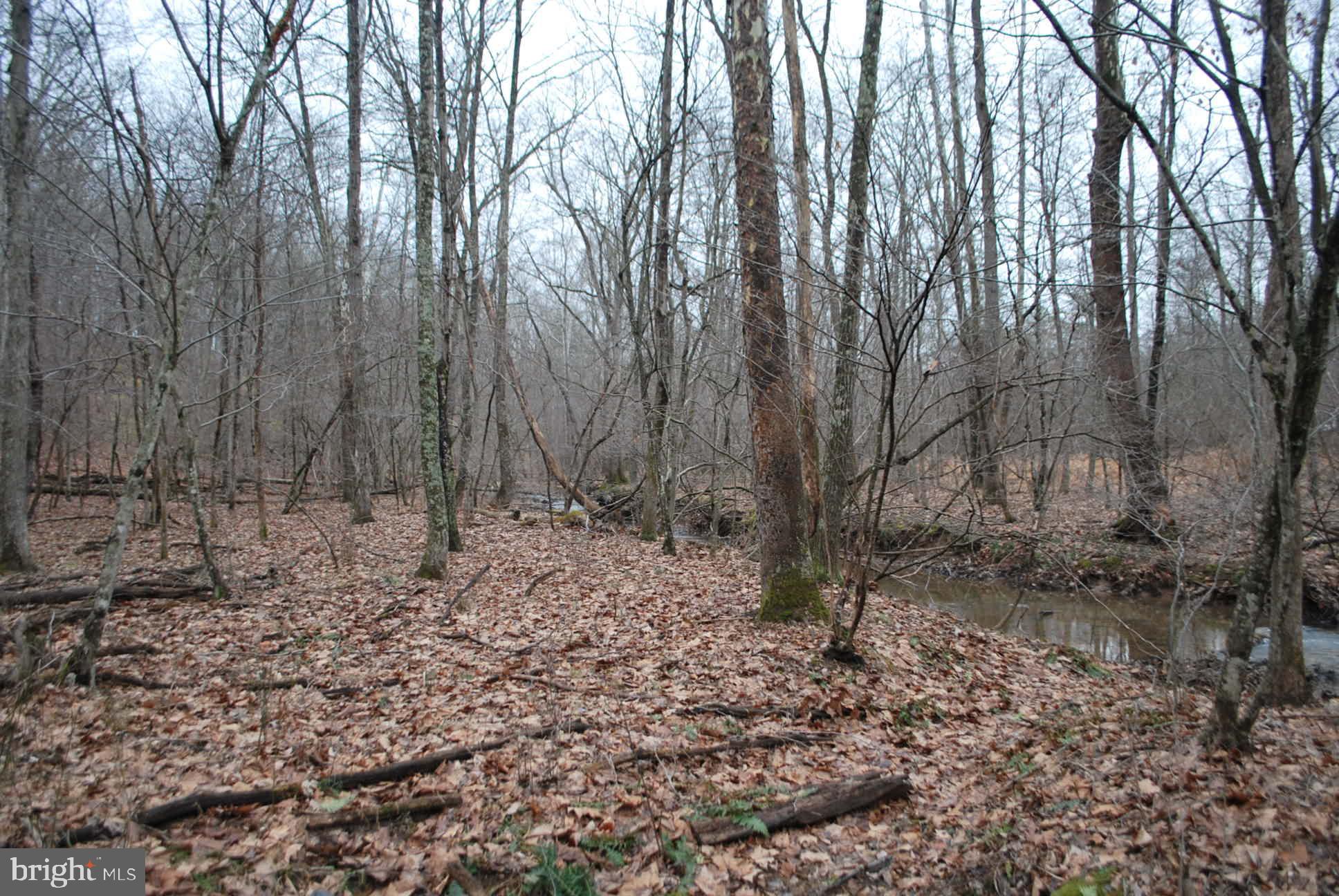 13-6 Blue Brook Road Berkeley Springs, WV 25411 - Photo 34 of 53