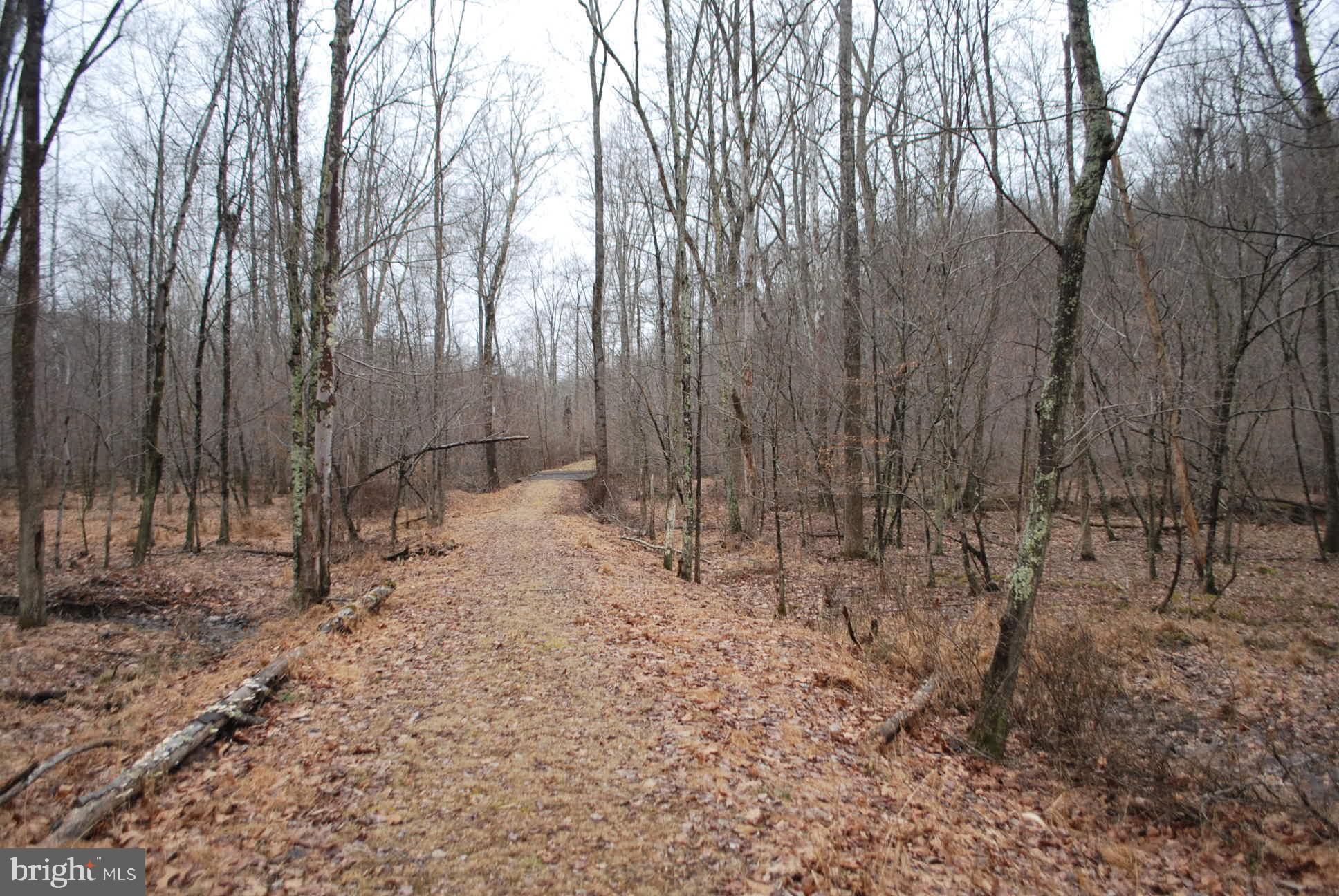 13-6 Blue Brook Road Berkeley Springs, WV 25411 - Photo 41 of 53 Come walk the property , you will not be sorry