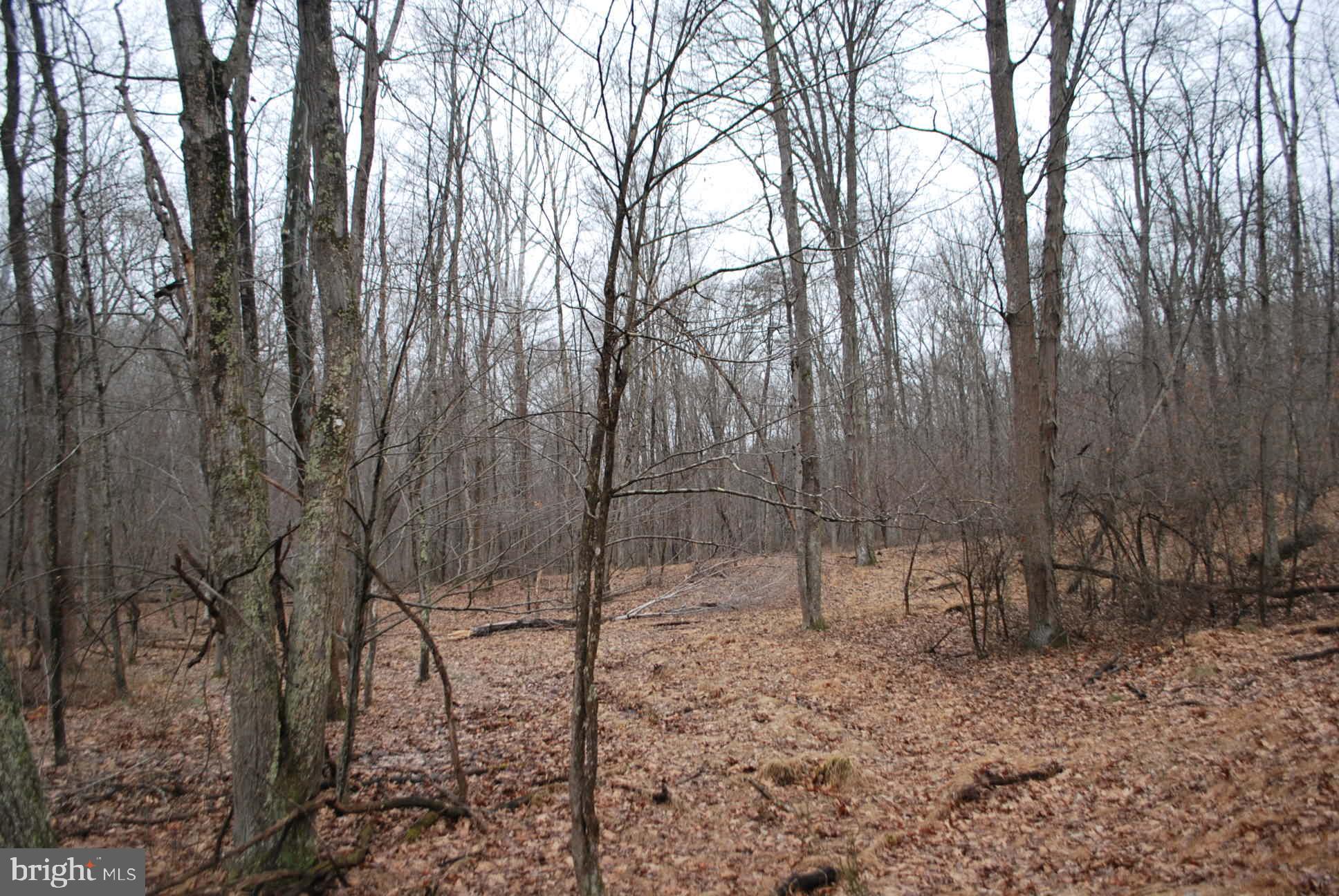 13-6 Blue Brook Road Berkeley Springs, WV 25411 - Photo 42 of 53 view