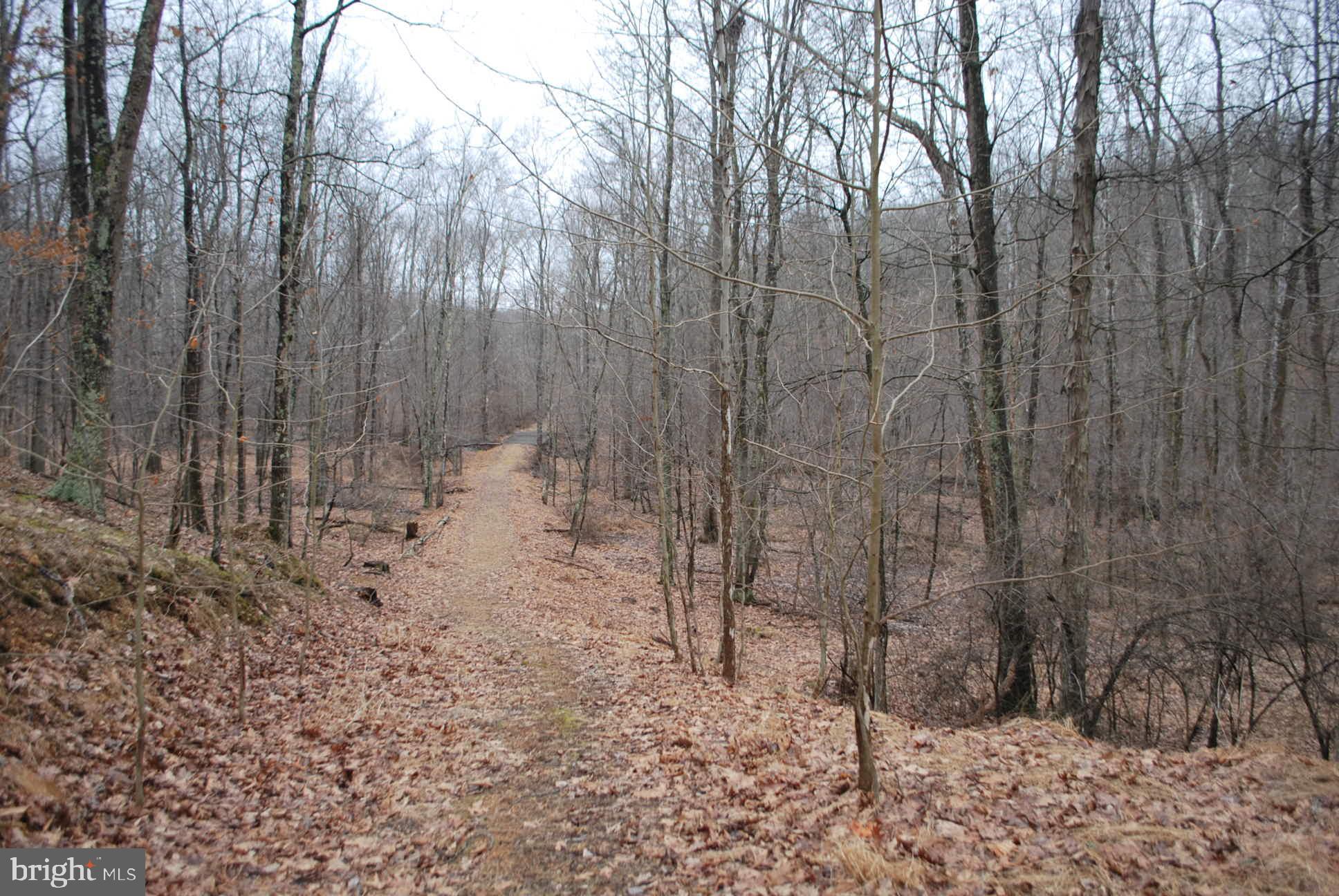 13-6 Blue Brook Road Berkeley Springs, WV 25411 - Photo 43 of 53 View
