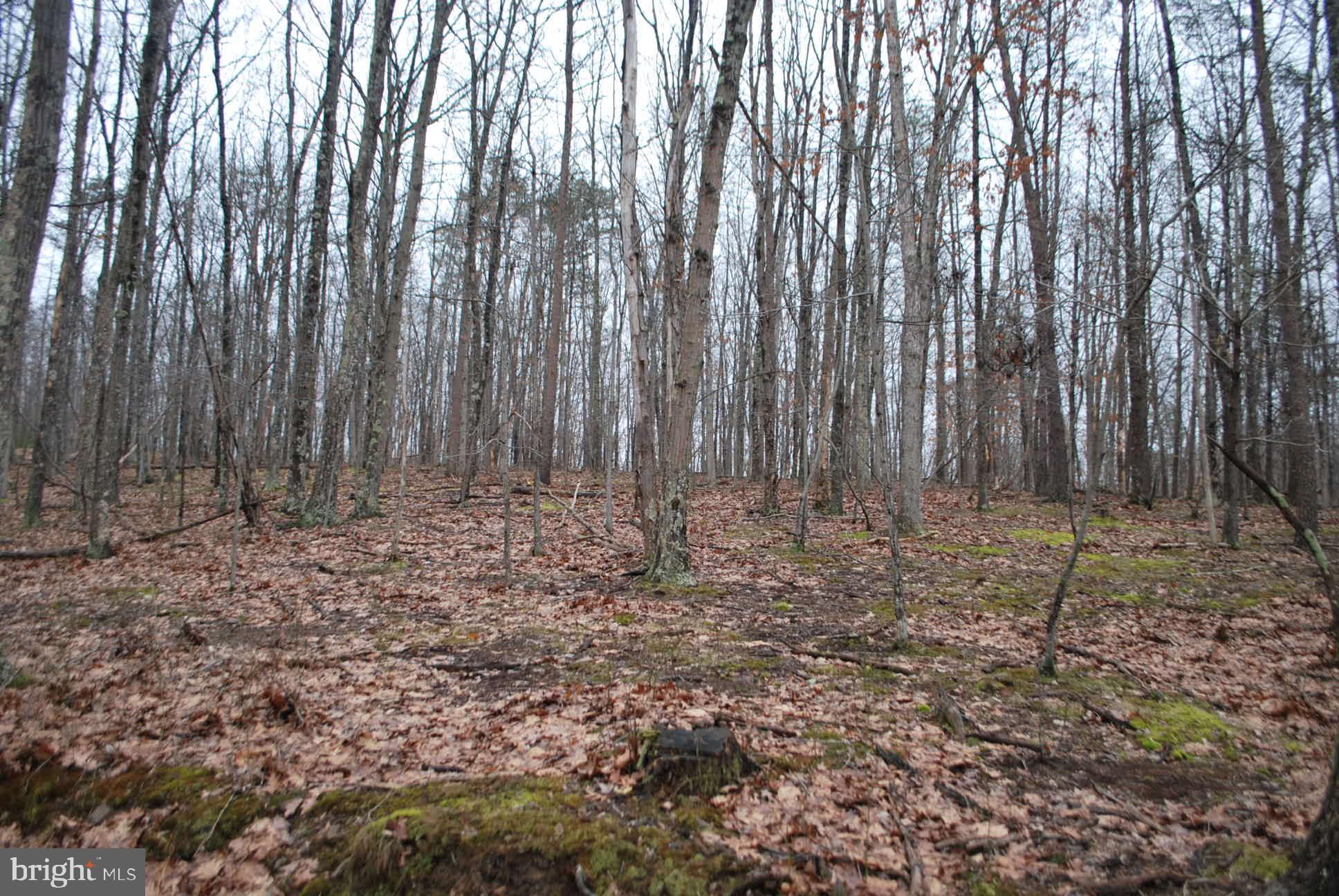 13-6 Blue Brook Road Berkeley Springs, WV 25411 - Photo 46 of 53 Hills and creeks