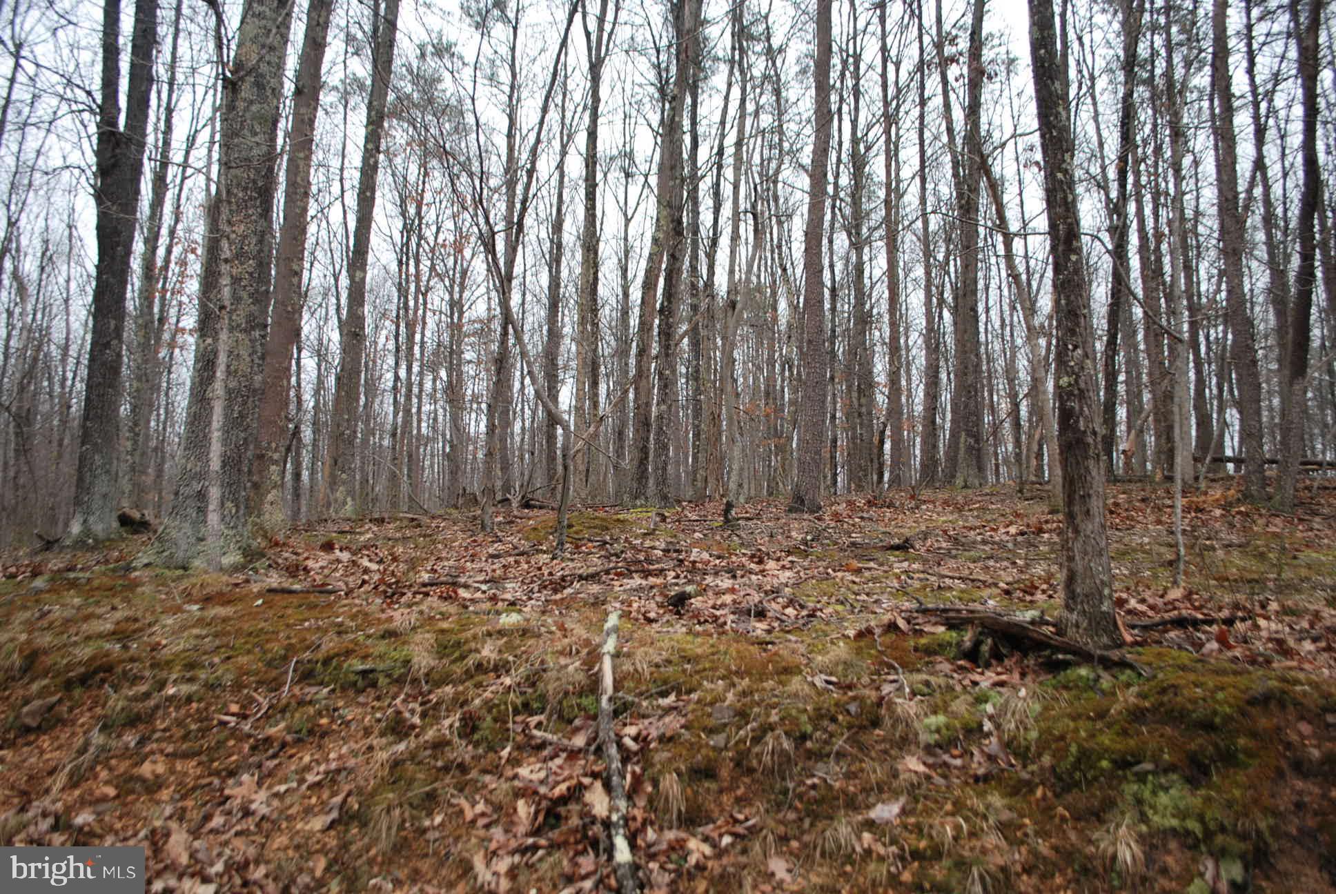 13-6 Blue Brook Road Berkeley Springs, WV 25411 - Photo 47 of 53 Lots of timber