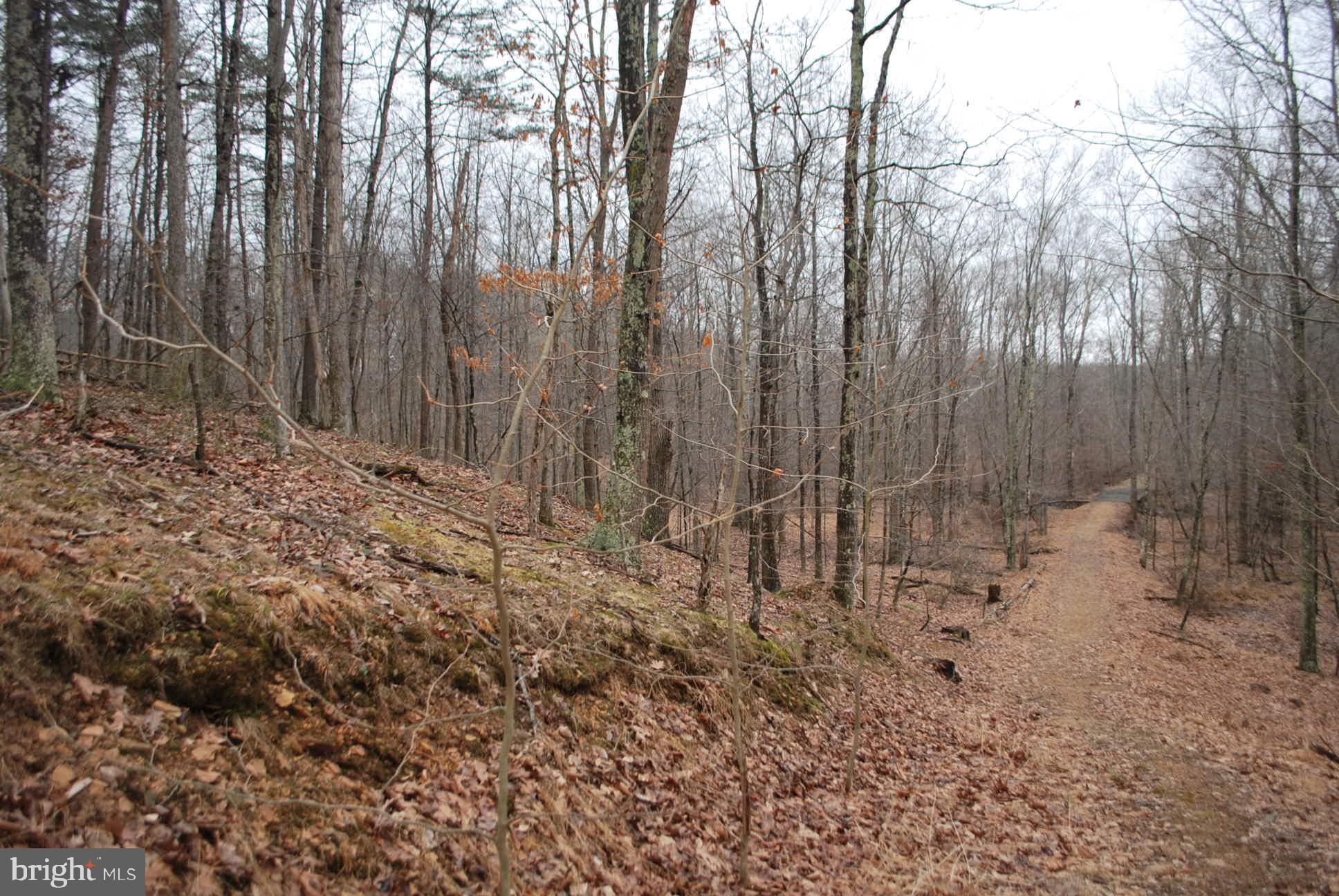 13-6 Blue Brook Road Berkeley Springs, WV 25411 - Photo 48 of 53 more views