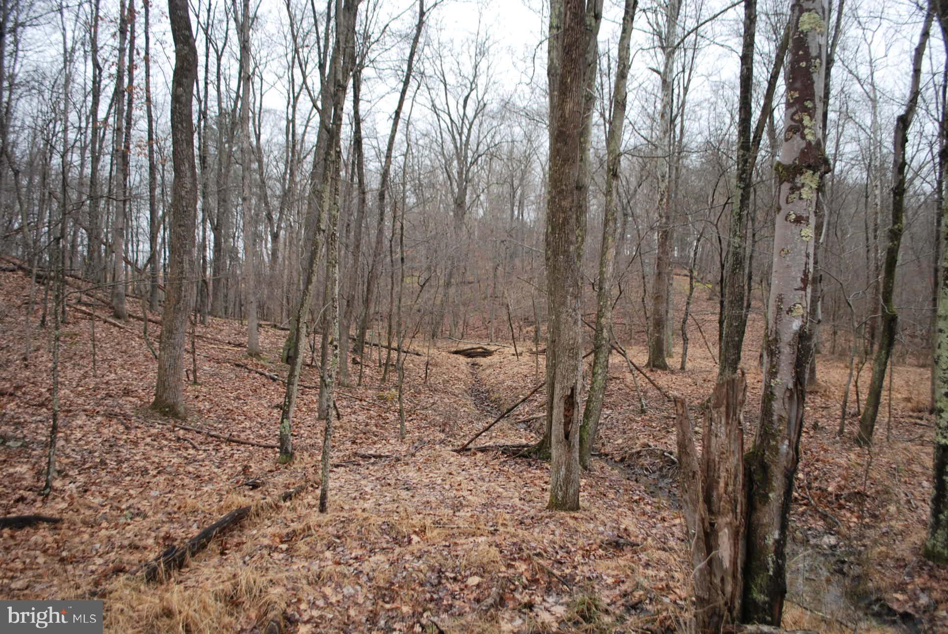 13-6 Blue Brook Road Berkeley Springs, WV 25411 - Photo 49 of 53 Views of the wonderful land