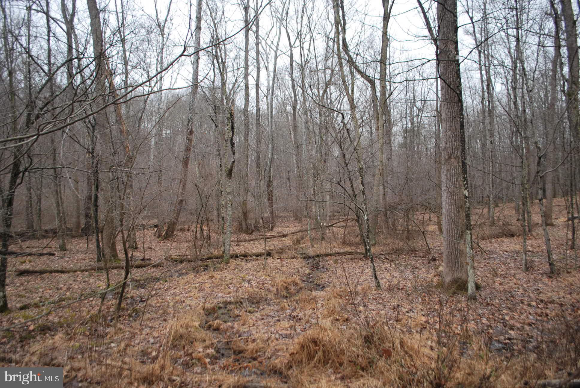 13-6 Blue Brook Road Berkeley Springs, WV 25411 - Photo 50 of 53 Views