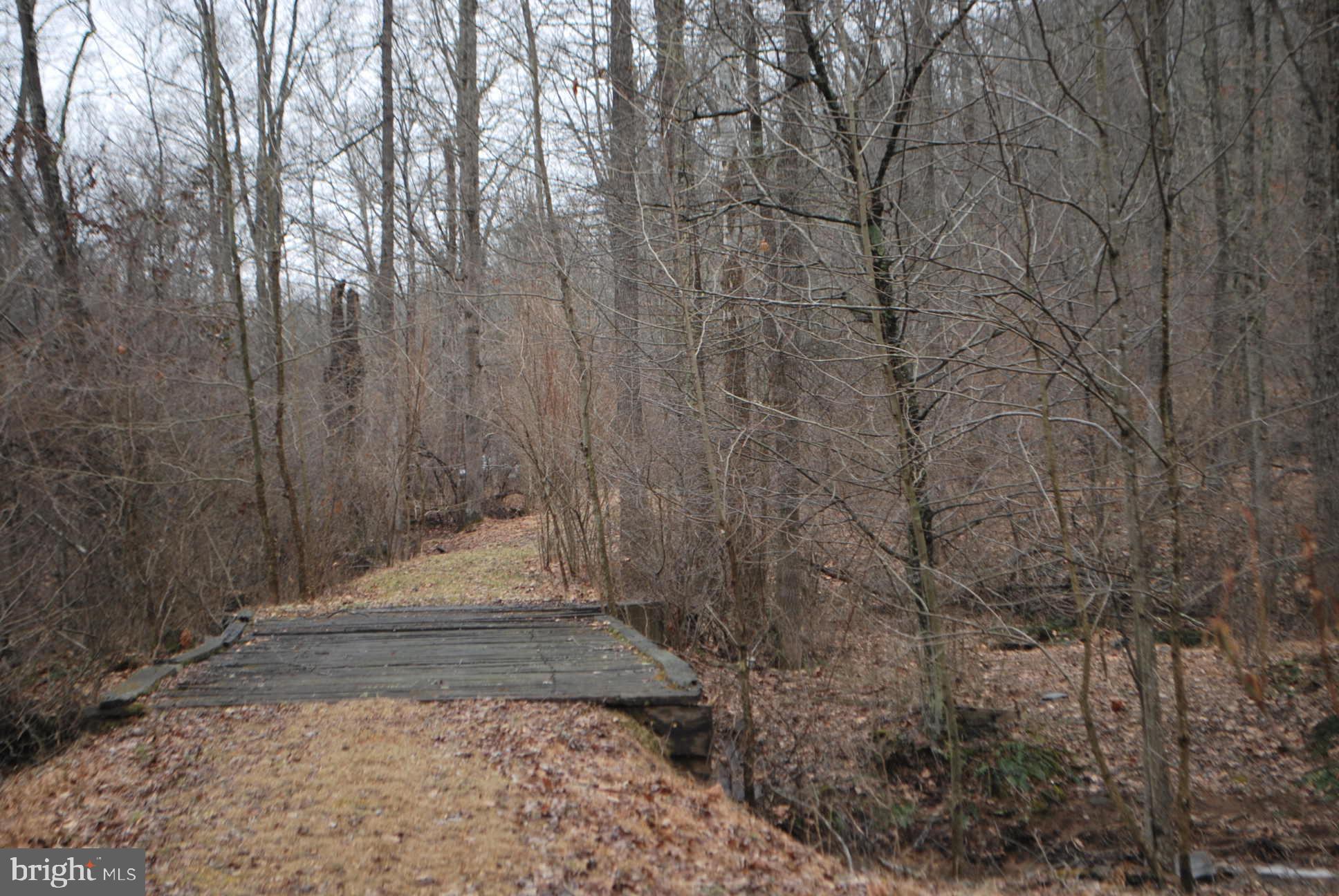 13-6 Blue Brook Road Berkeley Springs, WV 25411 - Photo 51 of 53 Walking the long path to beauty