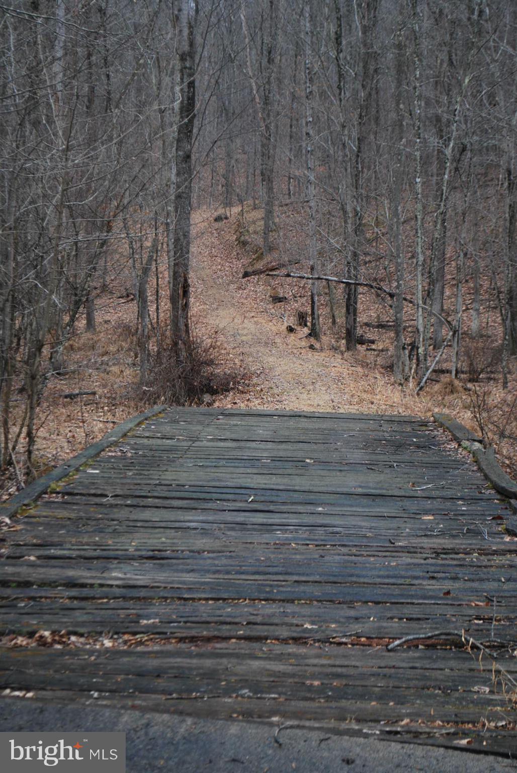 13-6 Blue Brook Road Berkeley Springs, WV 25411 - Photo 7 of 53 Follow the trail and get even better views!