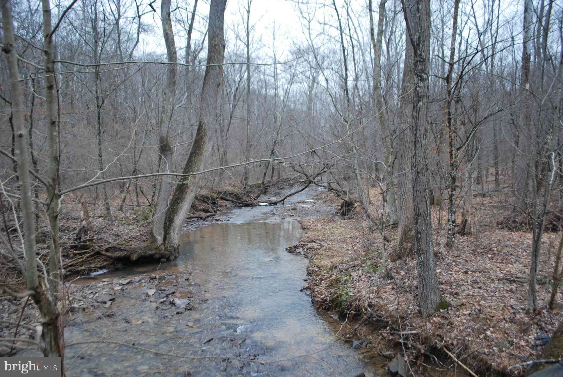 13-6 Blue Brook Road Berkeley Springs, WV 25411 - Photo 8 of 53 Sleepy Creek Middle Fork Beautiful