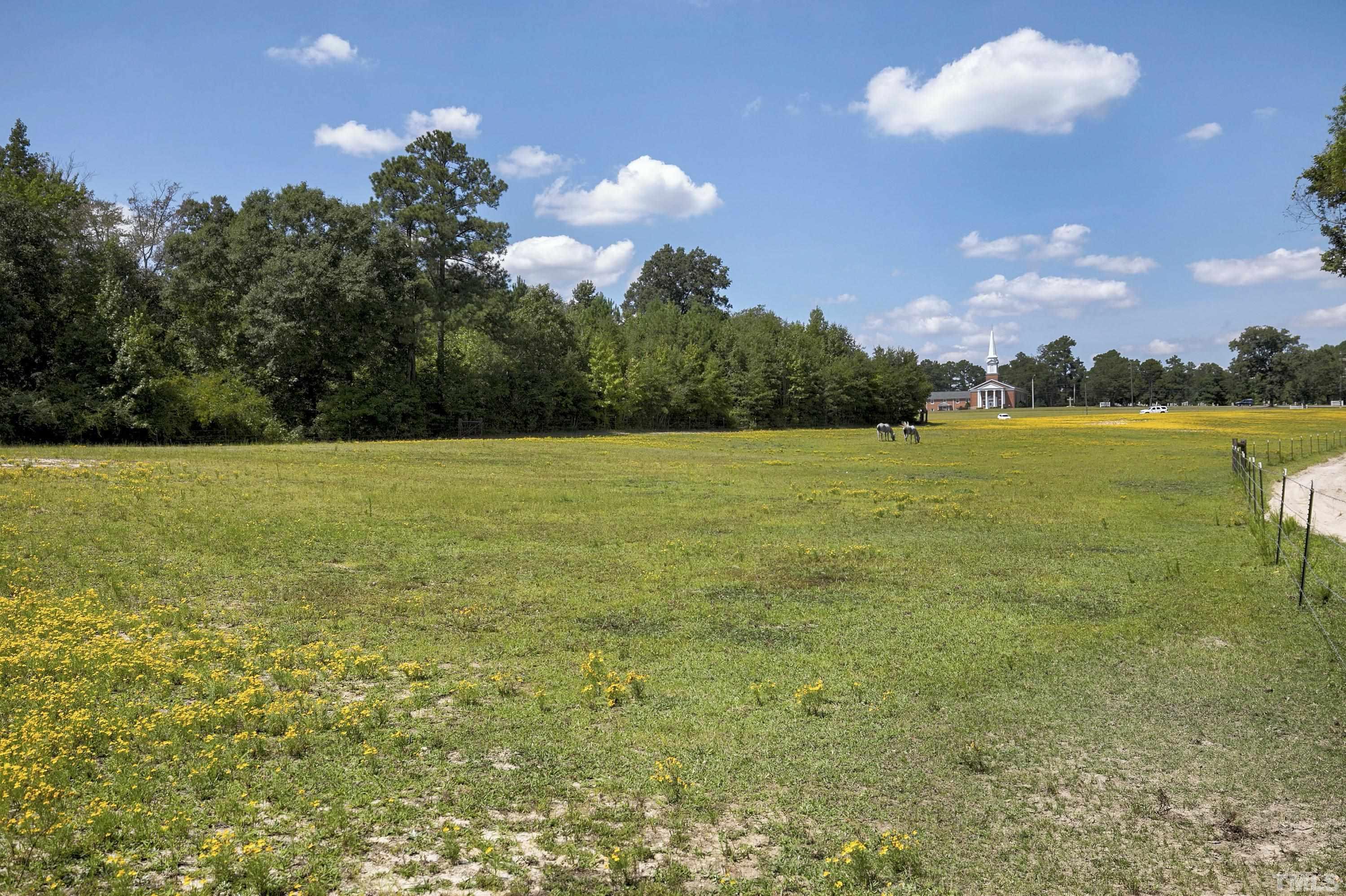 7163 Highway 210 Bunnlevel, NC 28323 - Photo 3 of 54