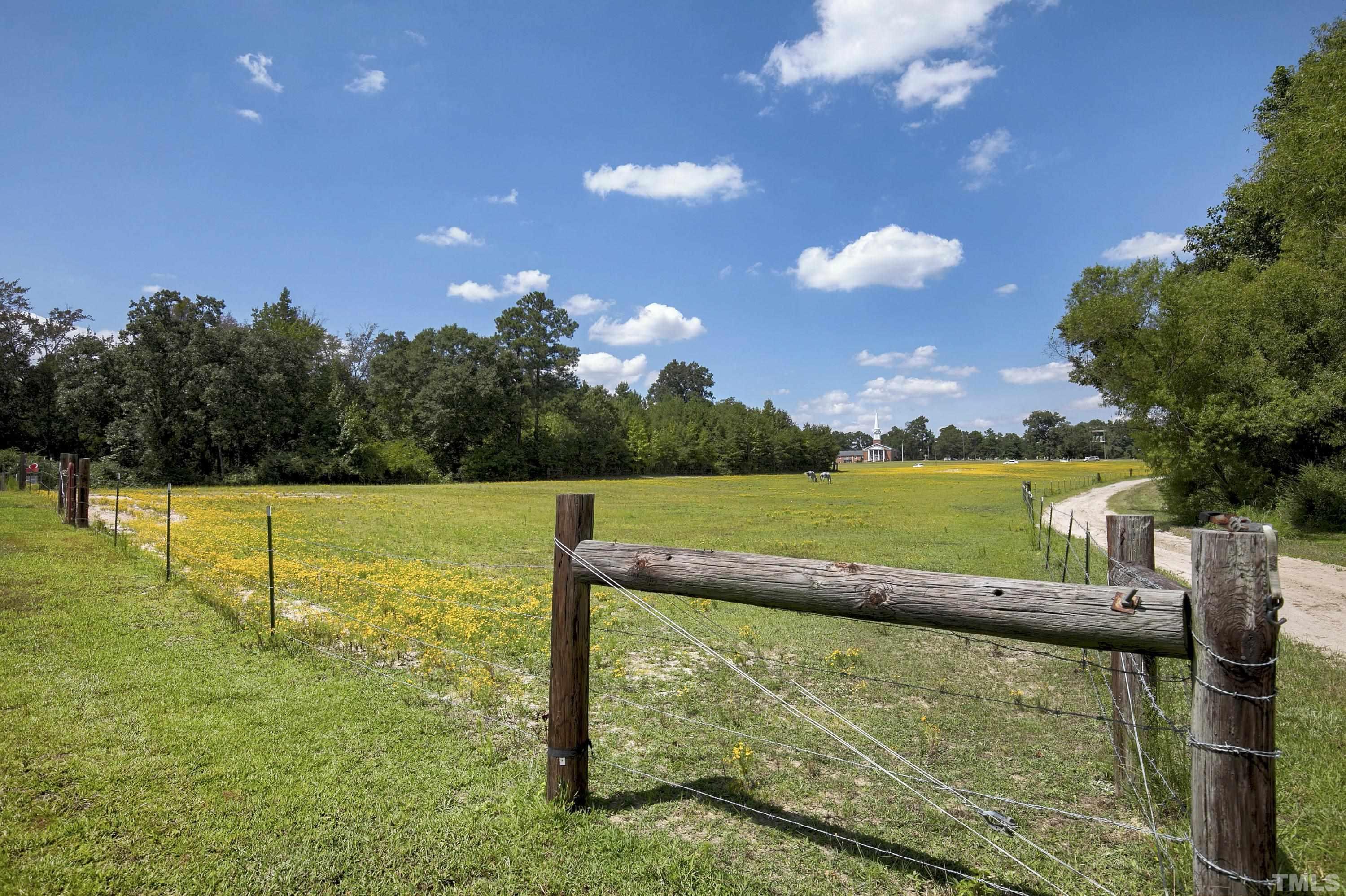 7163 Highway 210 Bunnlevel, NC 28323 - Photo 4 of 54 a view of a lake from a yard