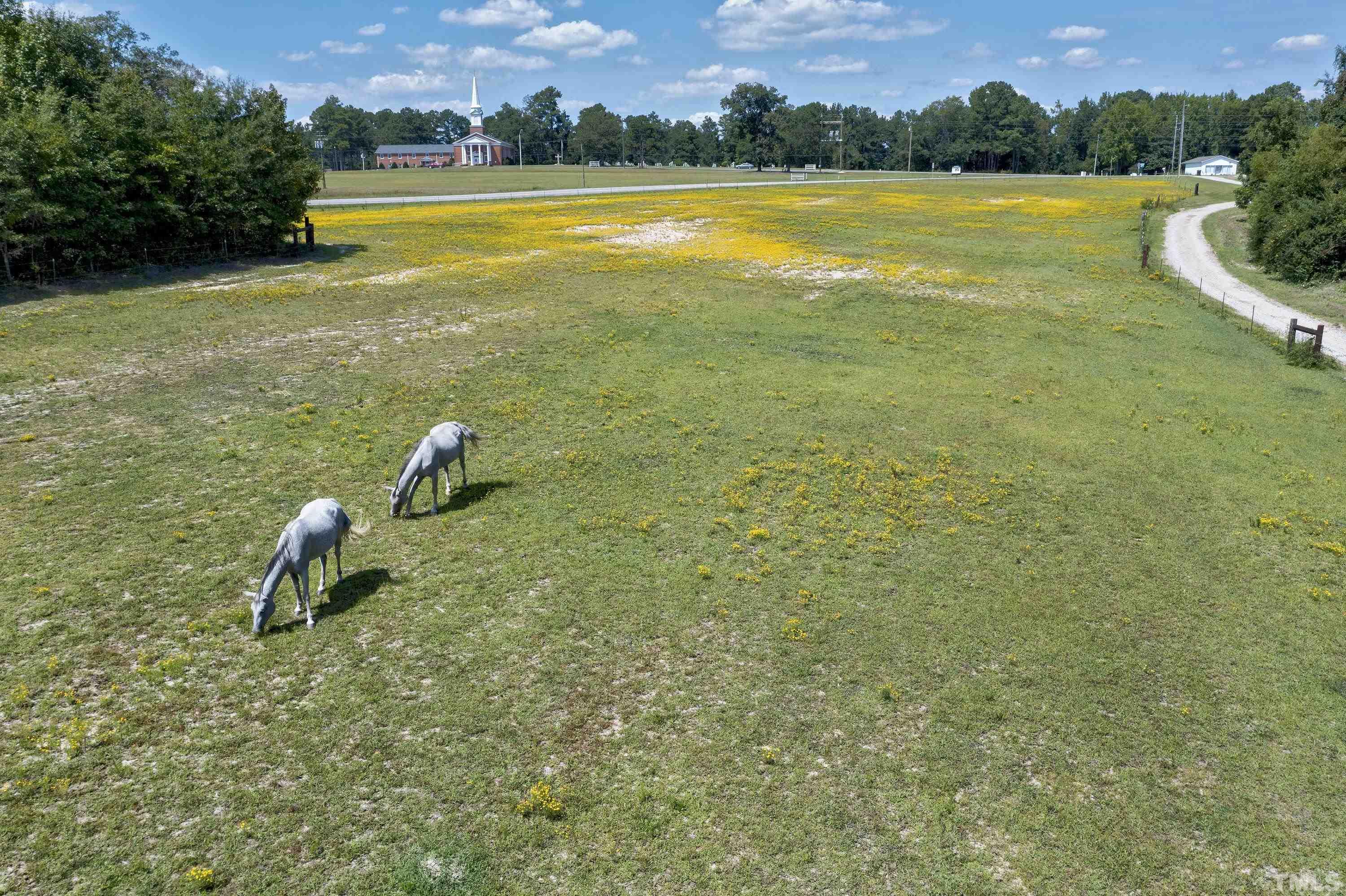 7163 Highway 210 Bunnlevel, NC 28323 - Photo 42 of 54 a view of a lake with a yard