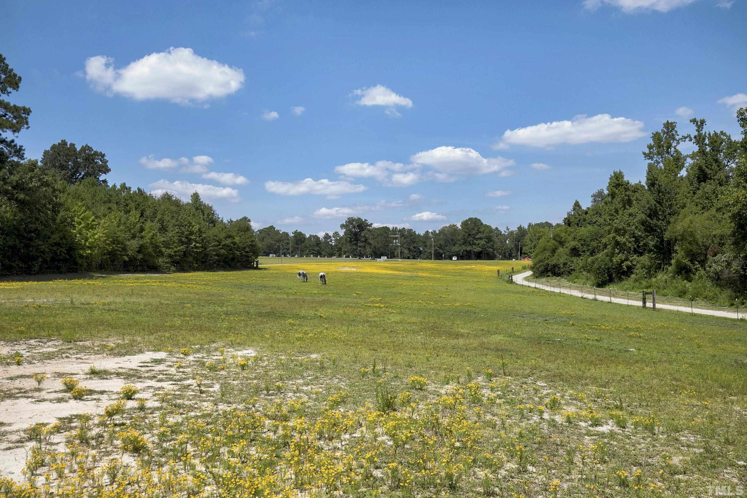 7163 Highway 210 Bunnlevel, NC 28323 - Photo 5 of 54 a view of a lake