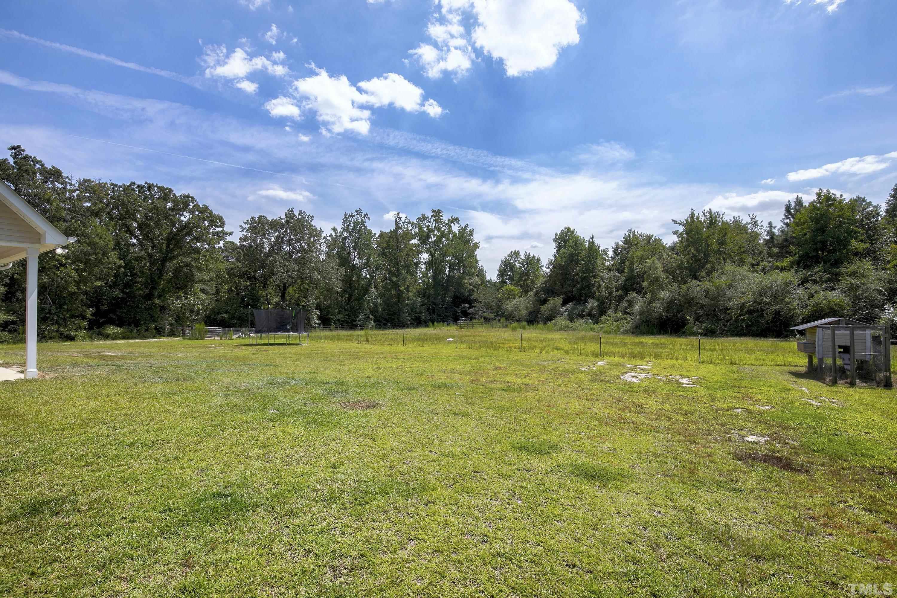 7163 Highway 210 Bunnlevel, NC 28323 - Photo 7 of 54 a view of a yard with a house