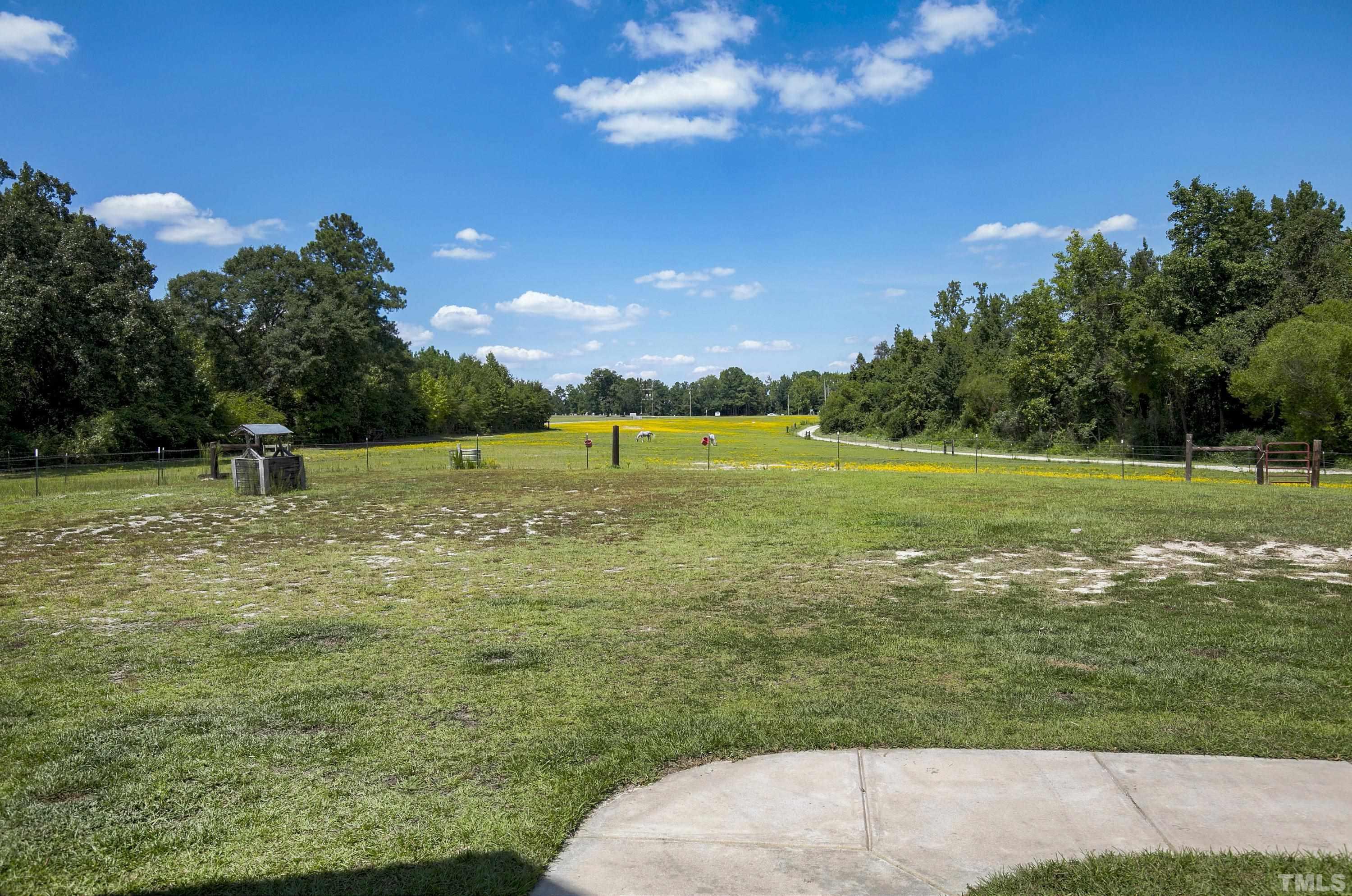7163 Highway 210 Bunnlevel, NC 28323 - Photo 8 of 54 a view of a golf course with a lake