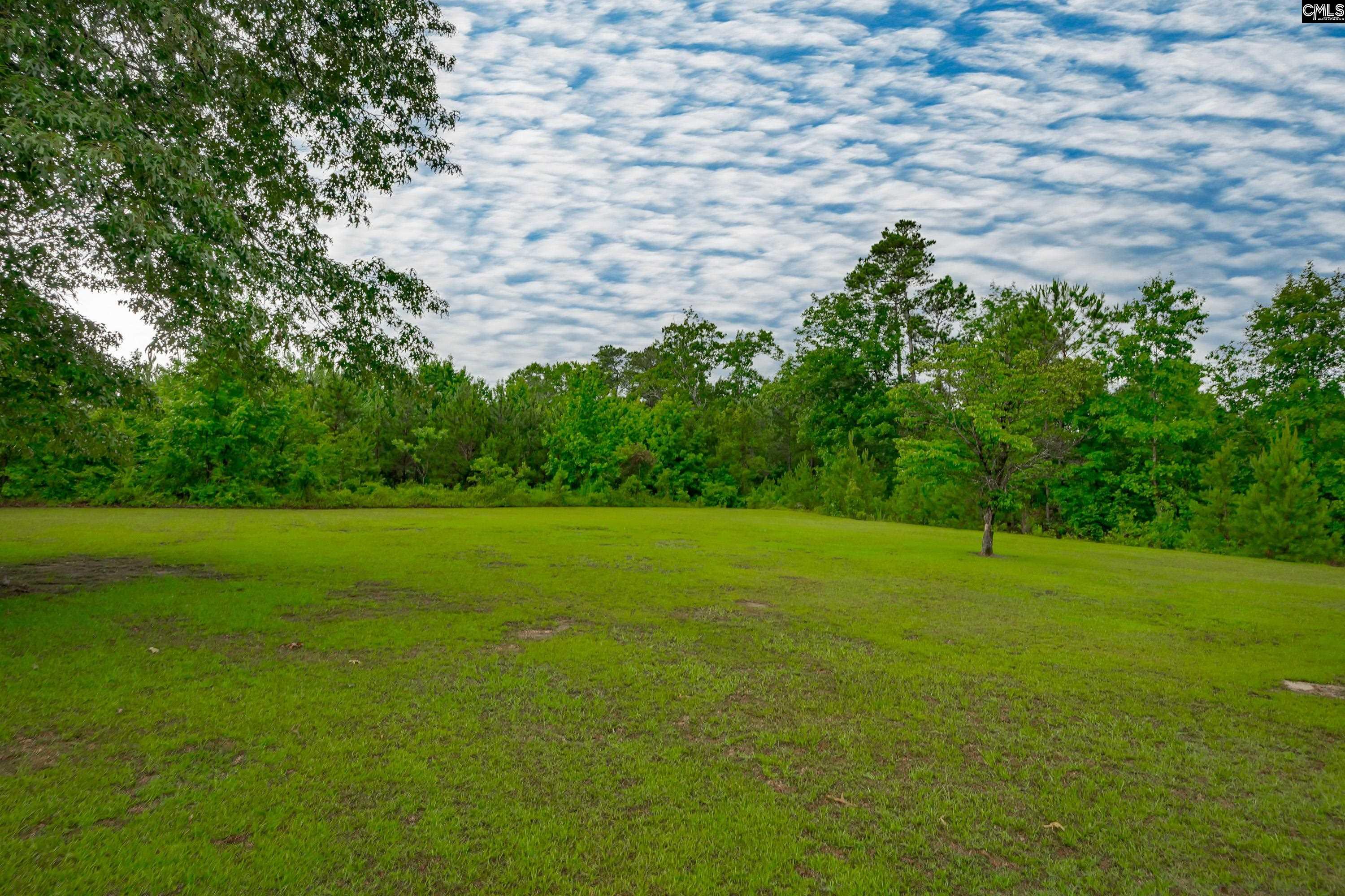 235 Sorin Circle Elloree, SC 29047 - Photo 47 of 53