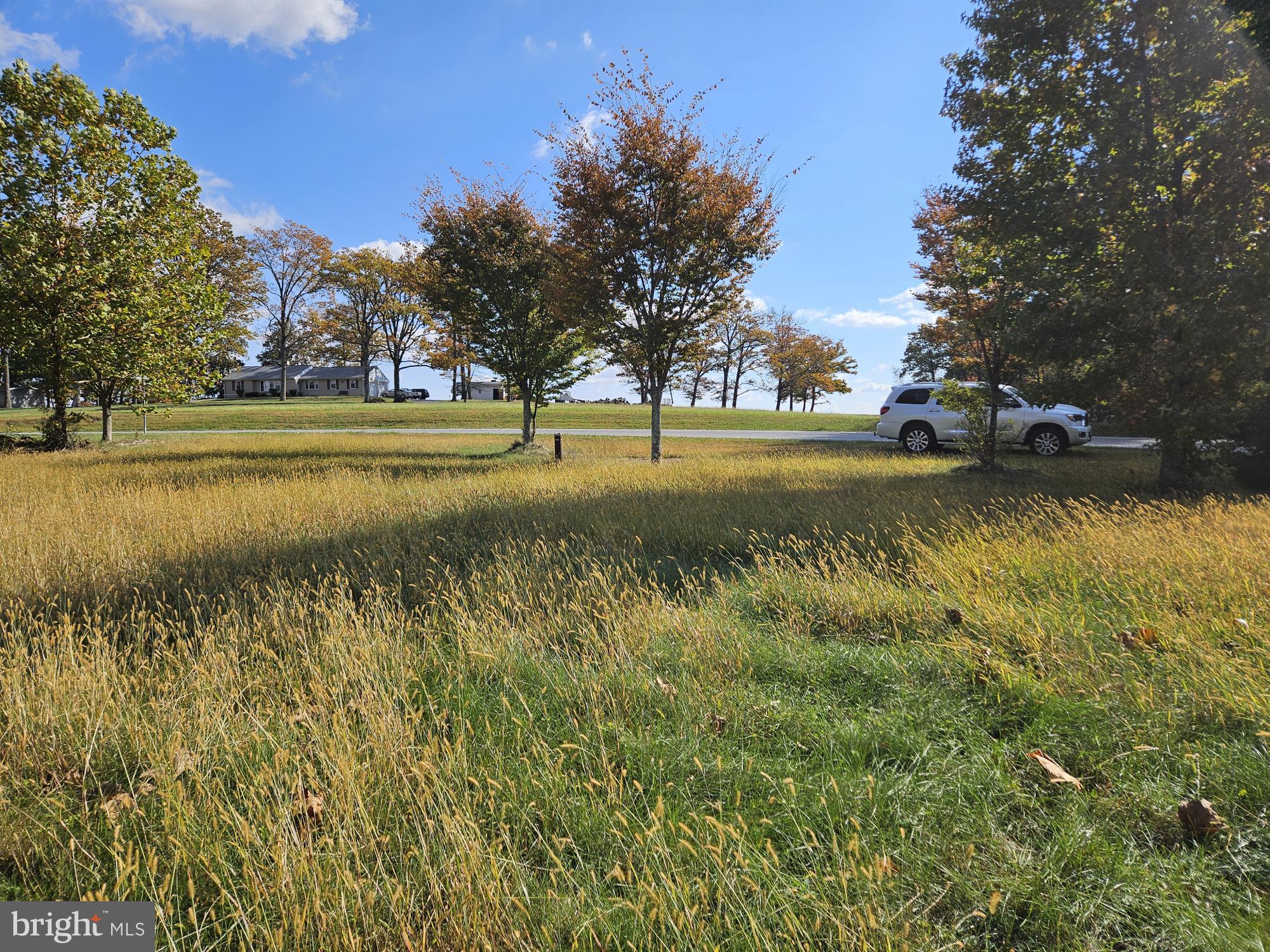 Arnold Road Westminster, MD 21157 - Photo 11 of 12 a view of a yard with a trees