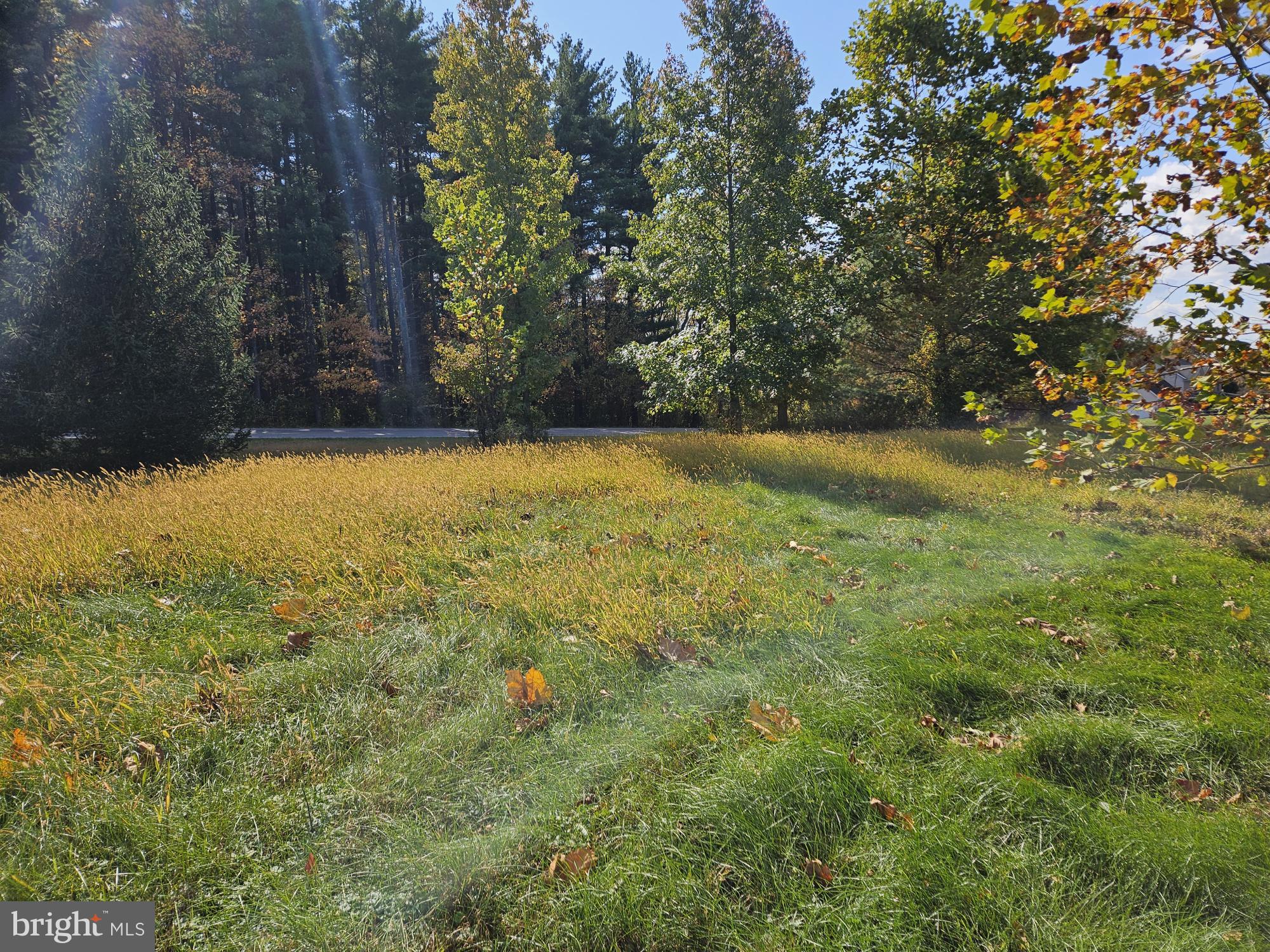 Arnold Road Westminster, MD 21157 - Photo 12 of 12 a view of an outdoor space and a yard