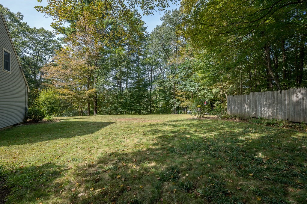 152 Warren Road Brimfield, MA 01010 - Photo 32 of 33 a view of a yard with a tree