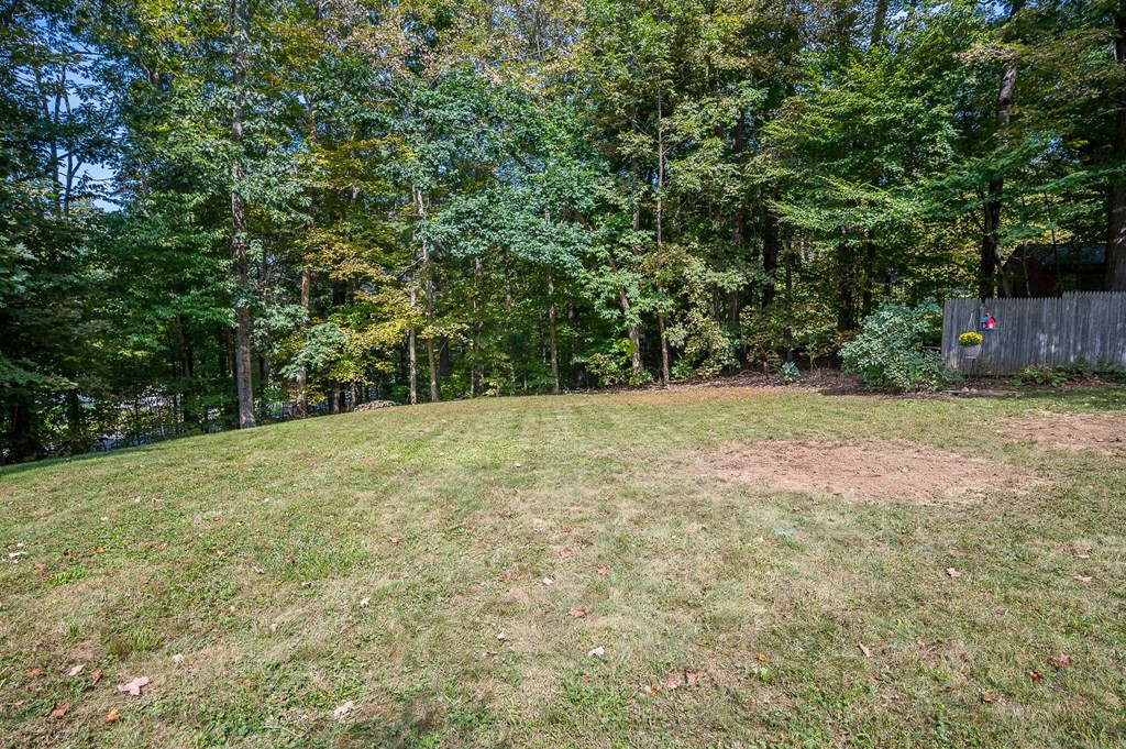 152 Warren Road Brimfield, MA 01010 - Photo 33 of 33 a view of a yard with a tree