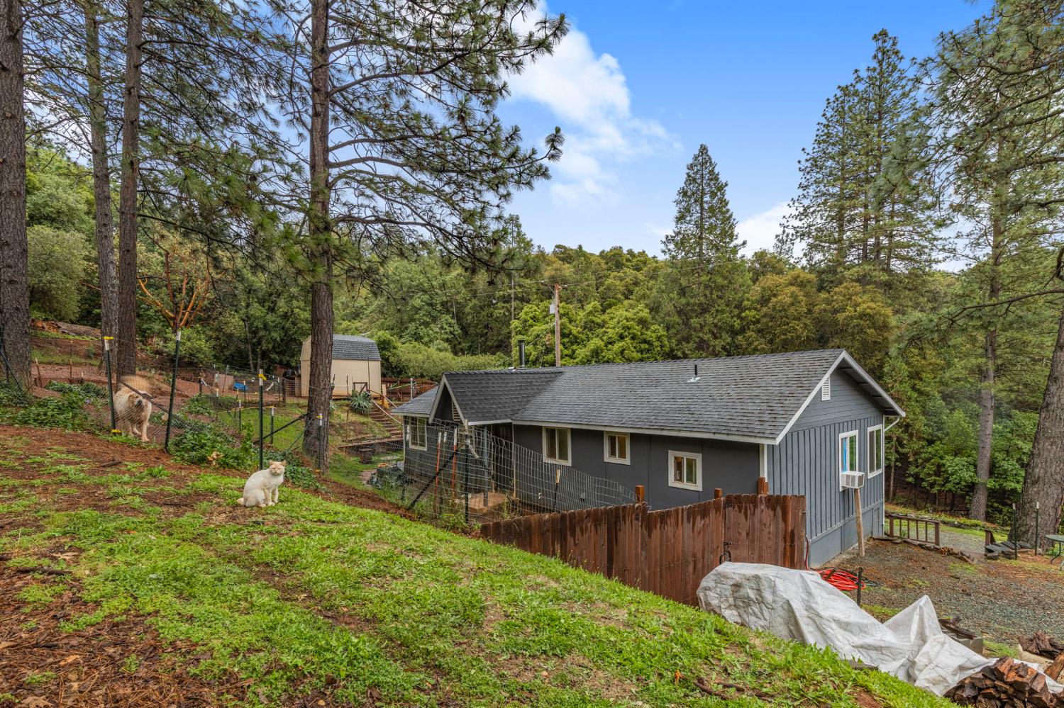 17721 Ridge Road Pine Grove, CA 95665 - Photo 14 of 21