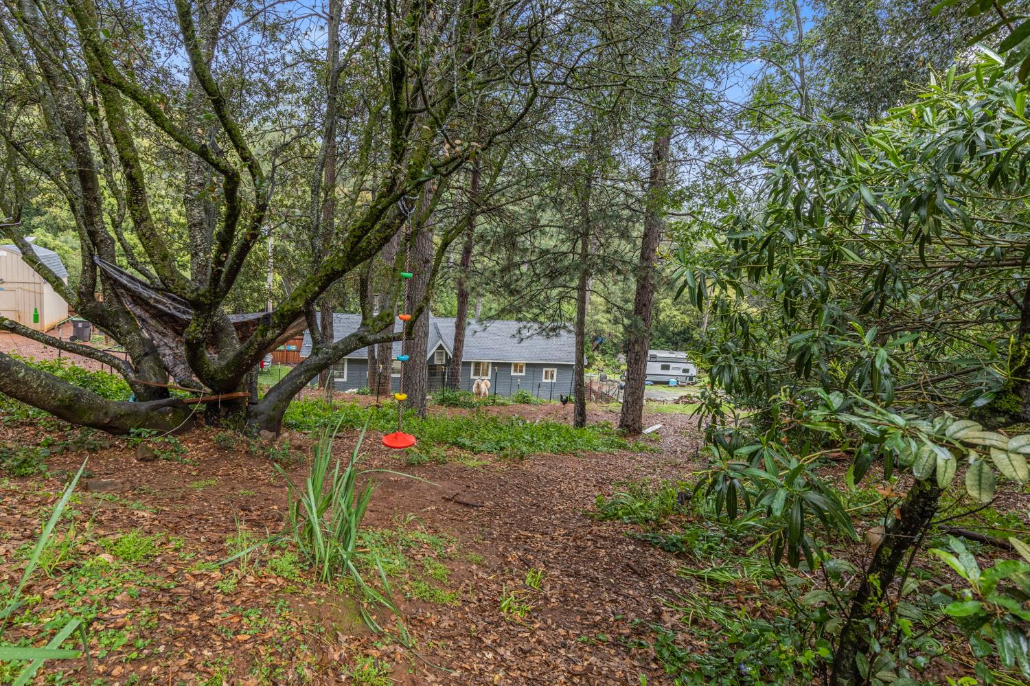 17721 Ridge Road Pine Grove, CA 95665 - Photo 16 of 21