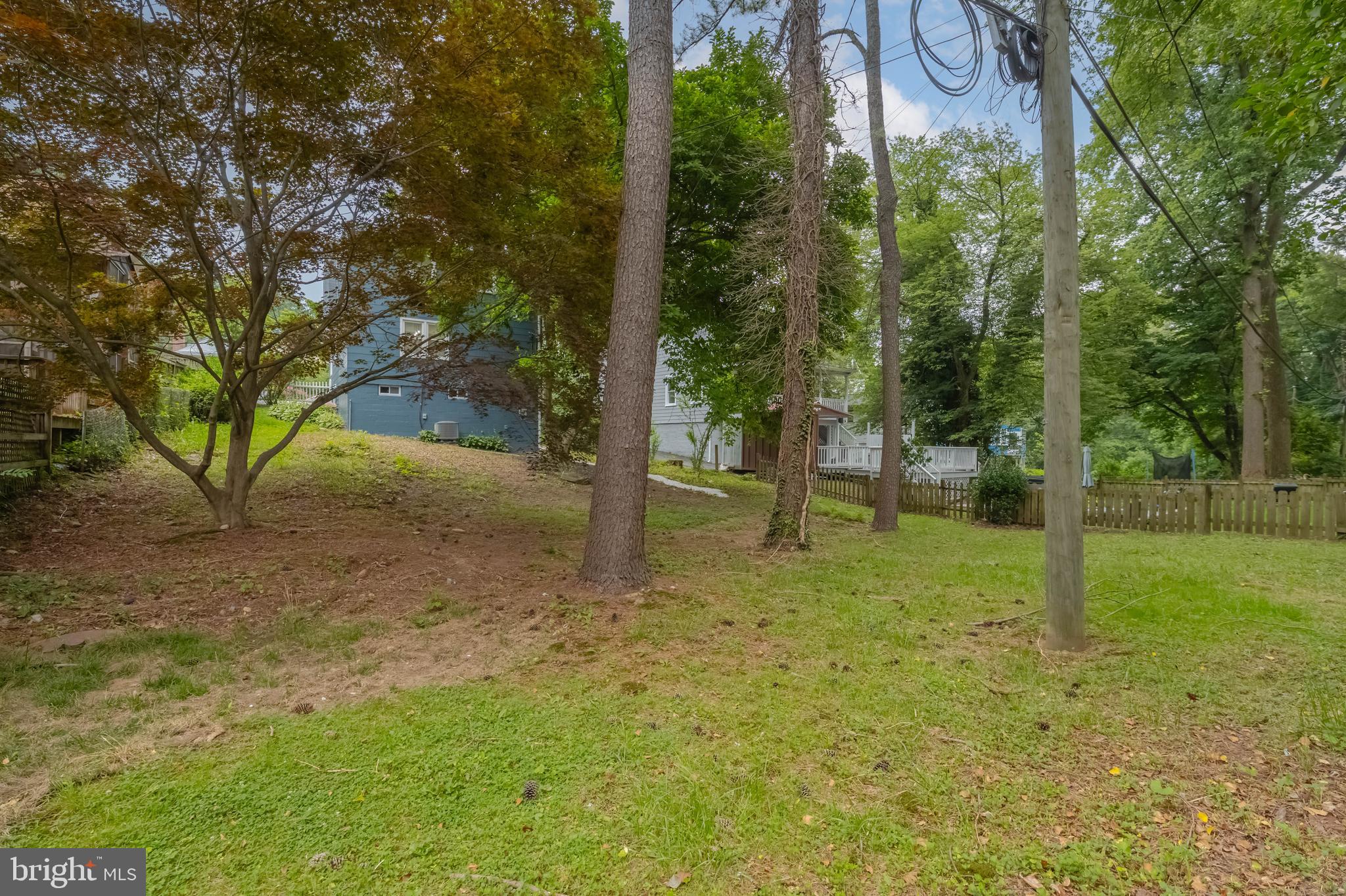 1117 Overbrook Road Baltimore, MD 21239 - Photo 31 of 37 a view of a tree in the middle of a yard