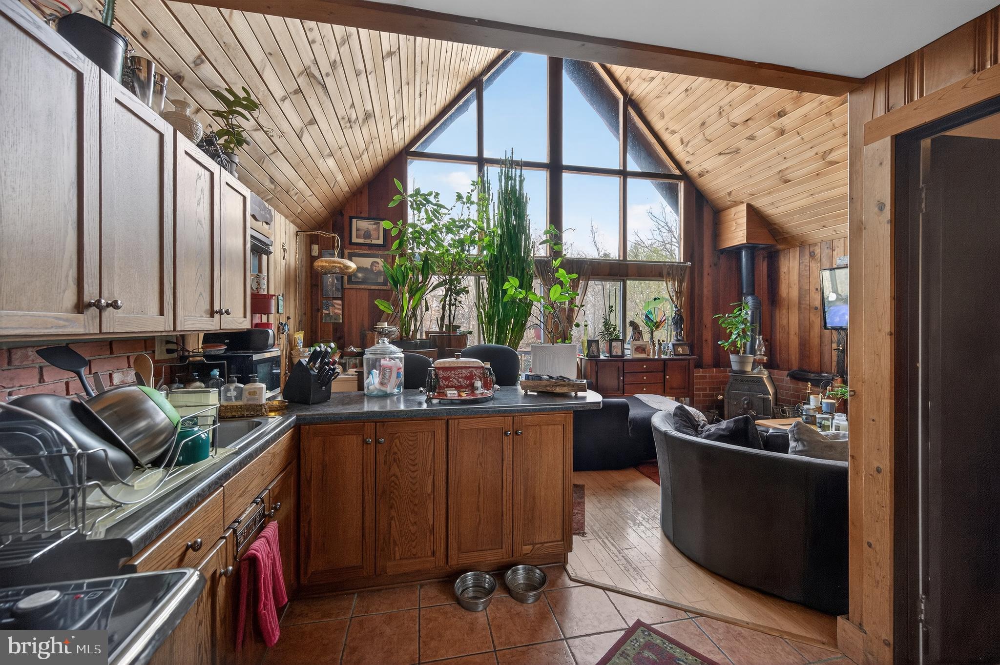 125 National Forest Access Road Luray, VA 22835 - Photo 11 of 19