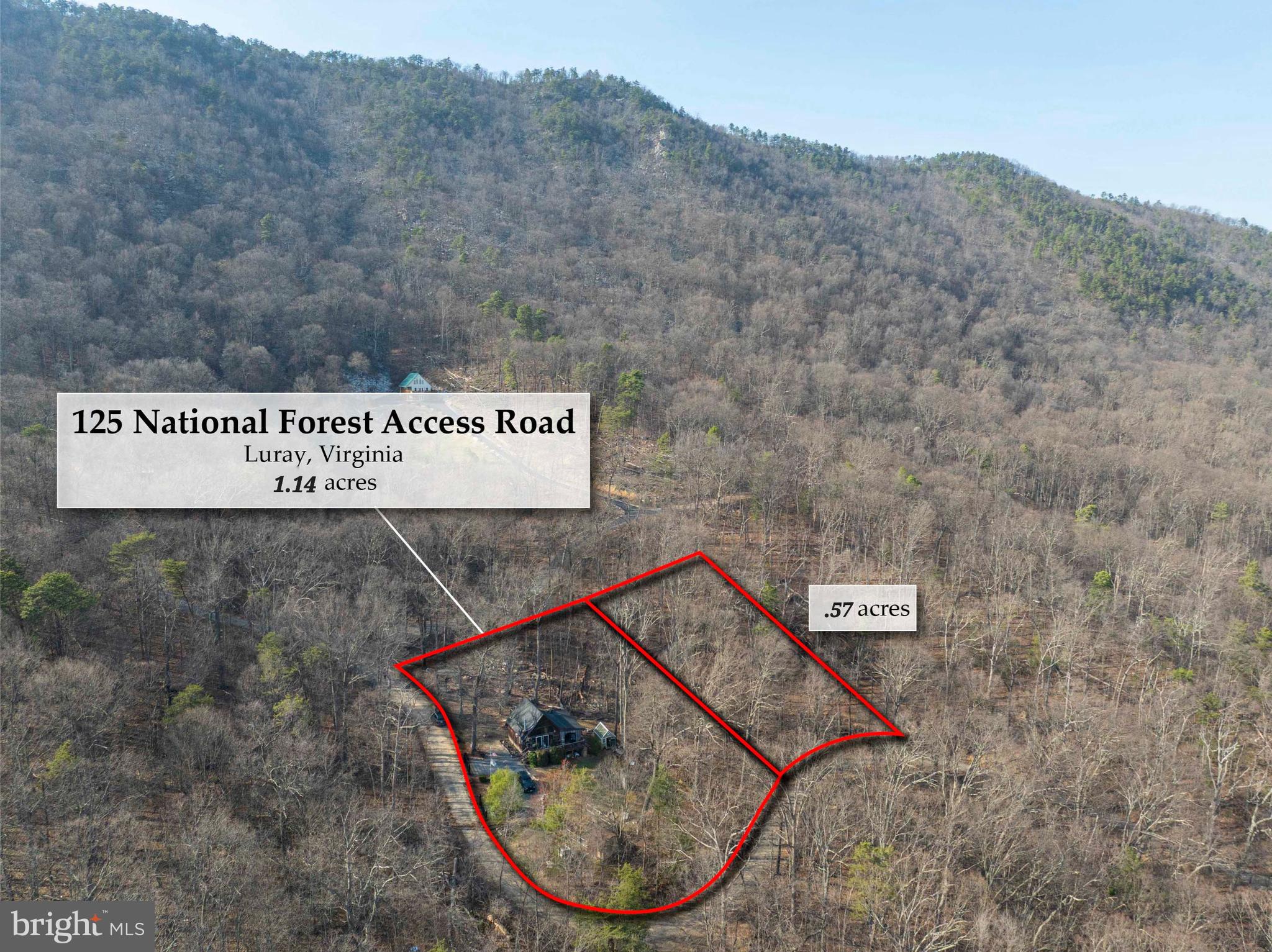 125 National Forest Access Road Luray, VA 22835 - Photo 19 of 19