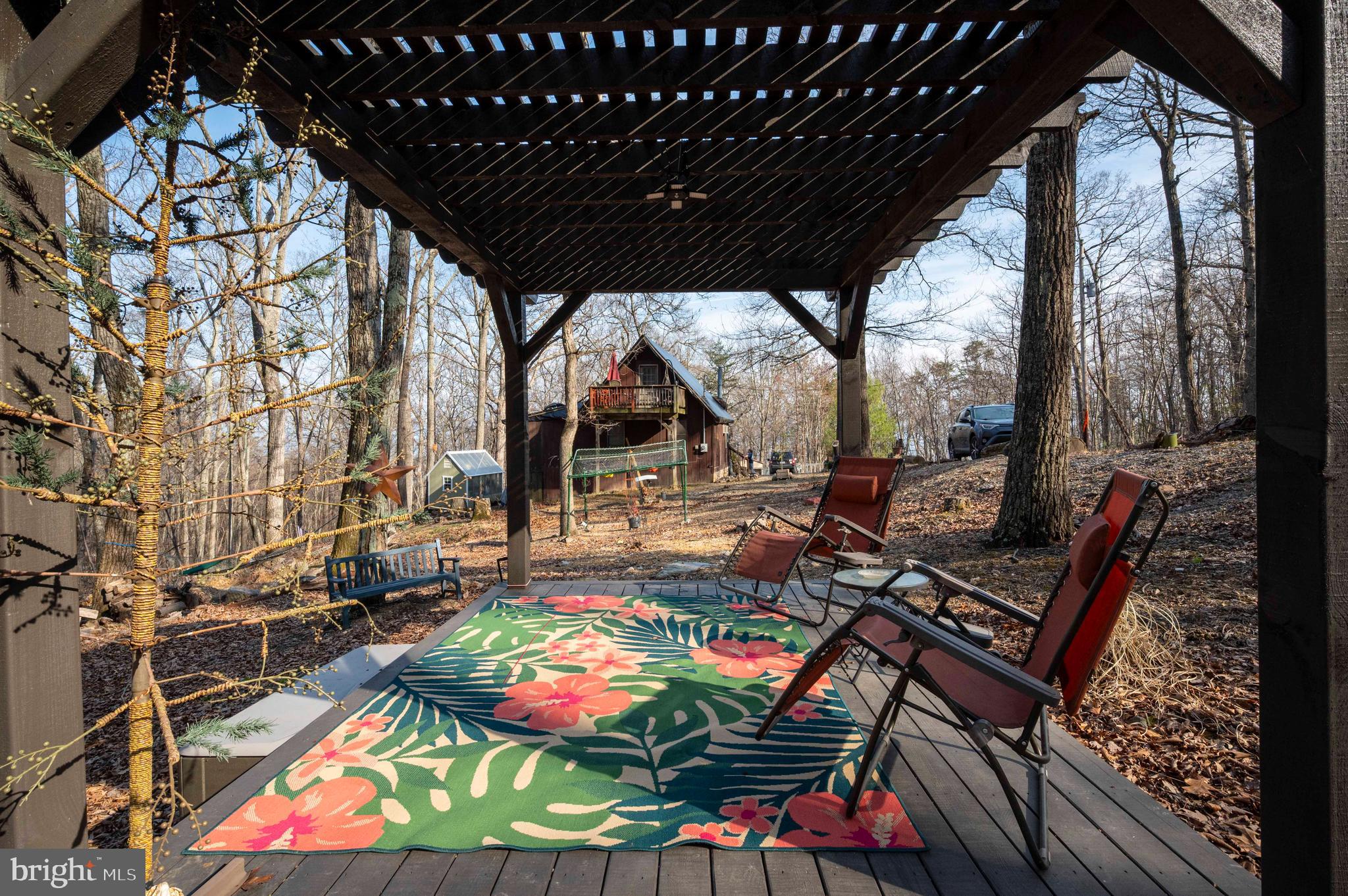 125 National Forest Access Road Luray, VA 22835 - Photo 4 of 19